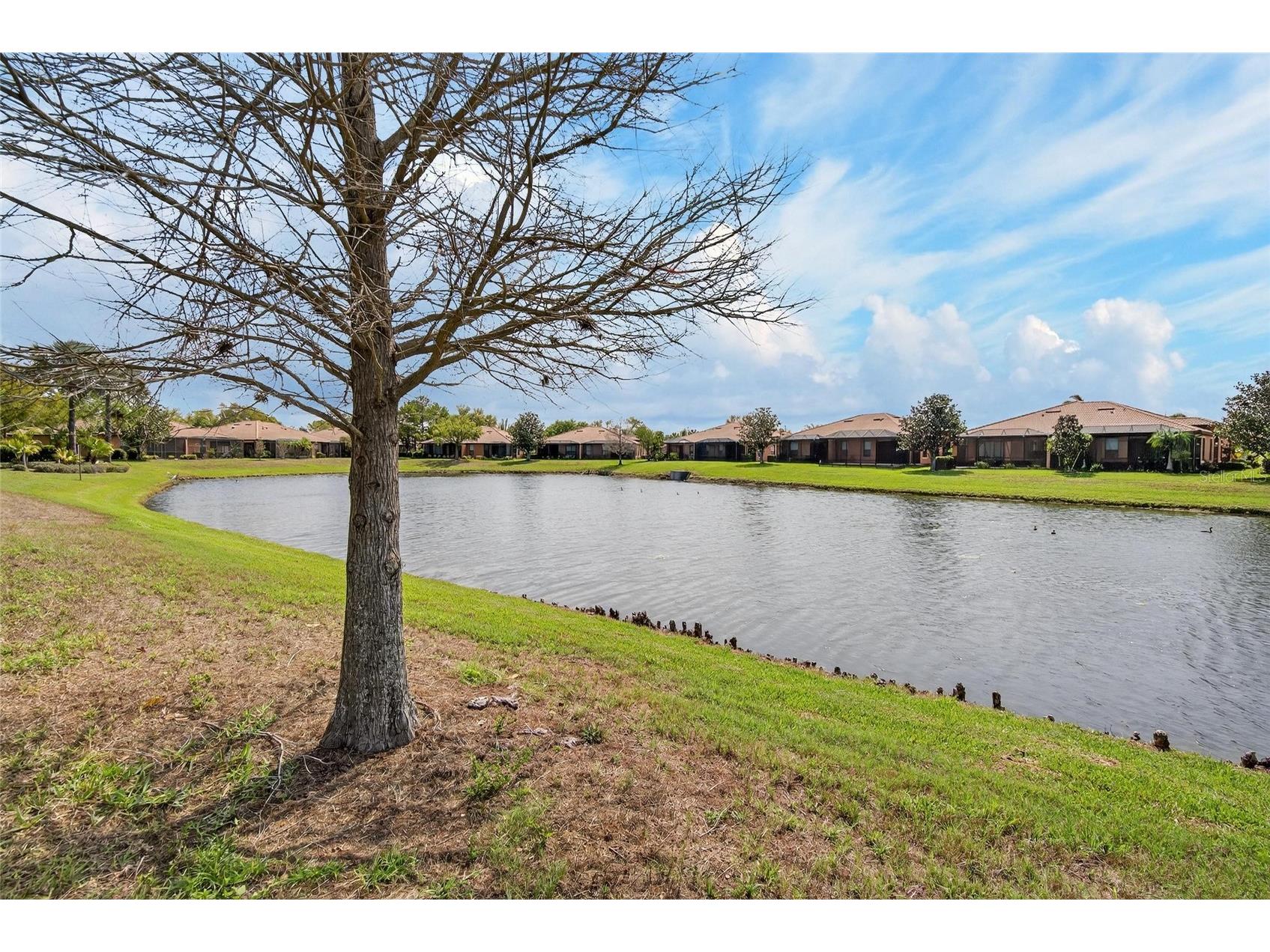 210 Shell Falls Drive Apollo Beach FL 33572 TB8488196 image54