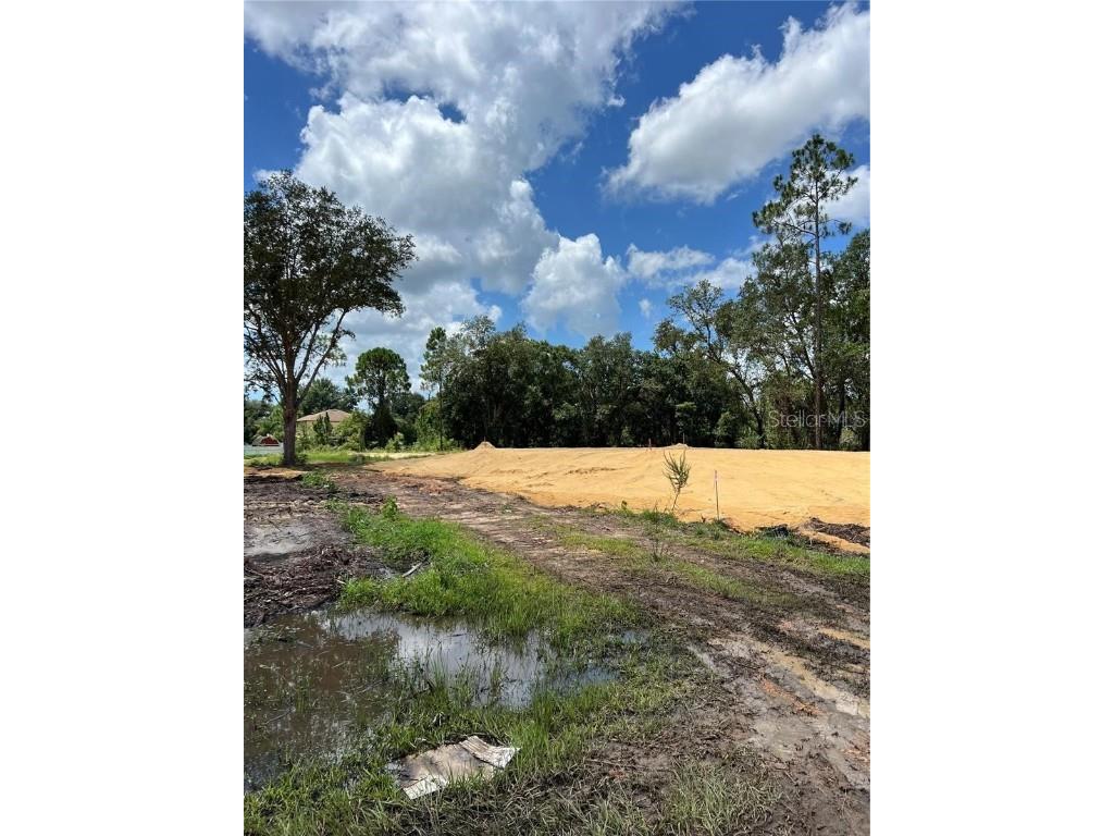 210 Spoonbill Drive Kissimmee FL 34759 S5130915 image1