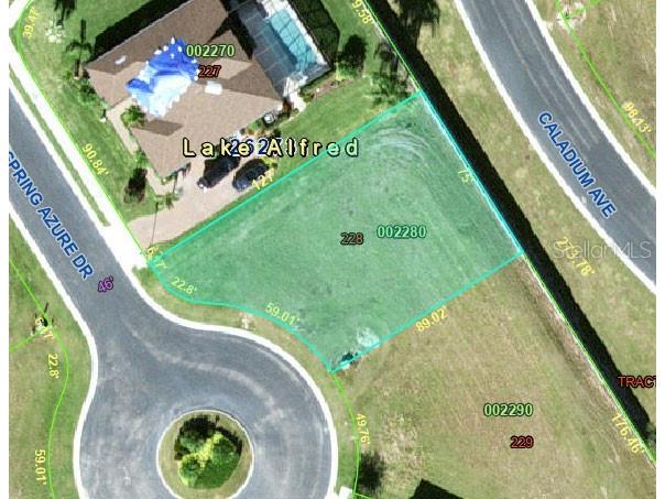210 Spring Azure Drive Lake Alfred FL 33850 - LAKE ALFRED L4962916 image2