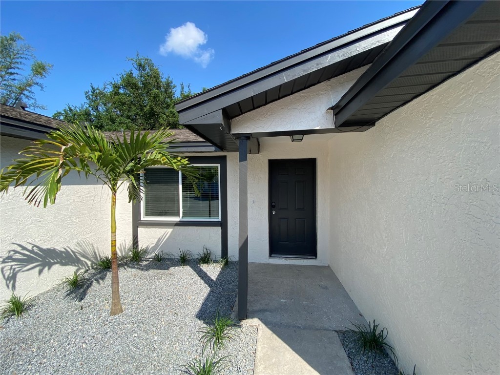 210 St. Petersburg Drive E #C Oldsmar FL 34677 T3437598 image1