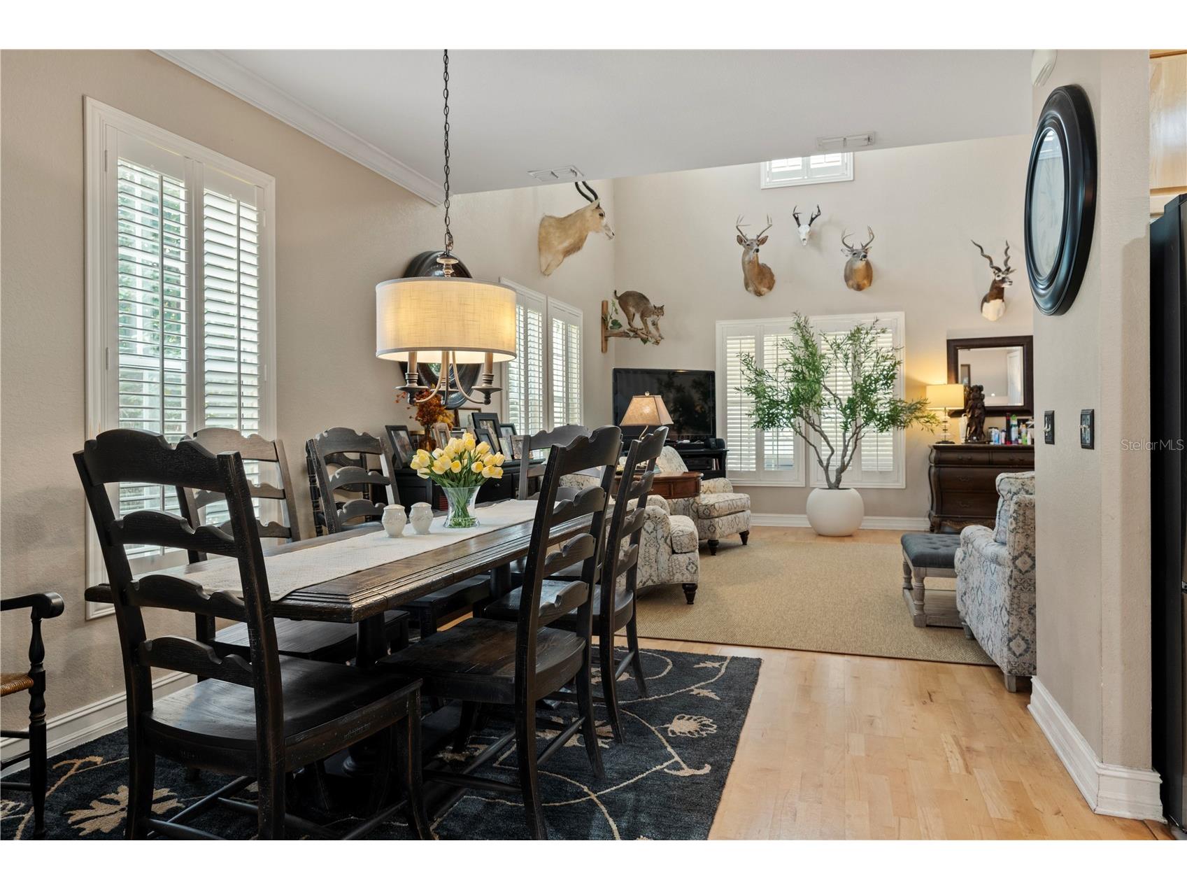210 Tucker Springs Road Sopchoppy FL 32358 OM719437 image11