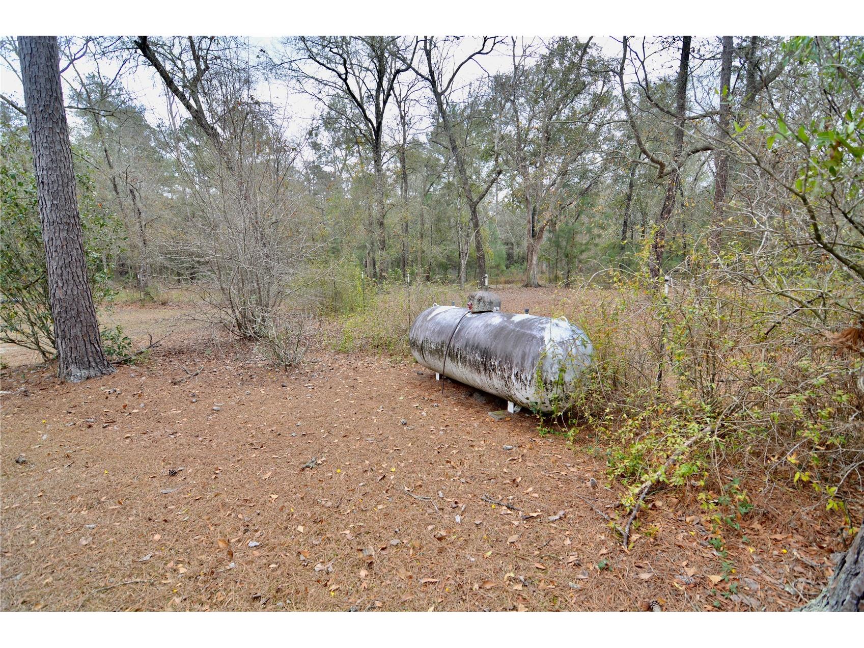 210 Tucker Springs Road Sopchoppy FL 32358 OM719437 image47