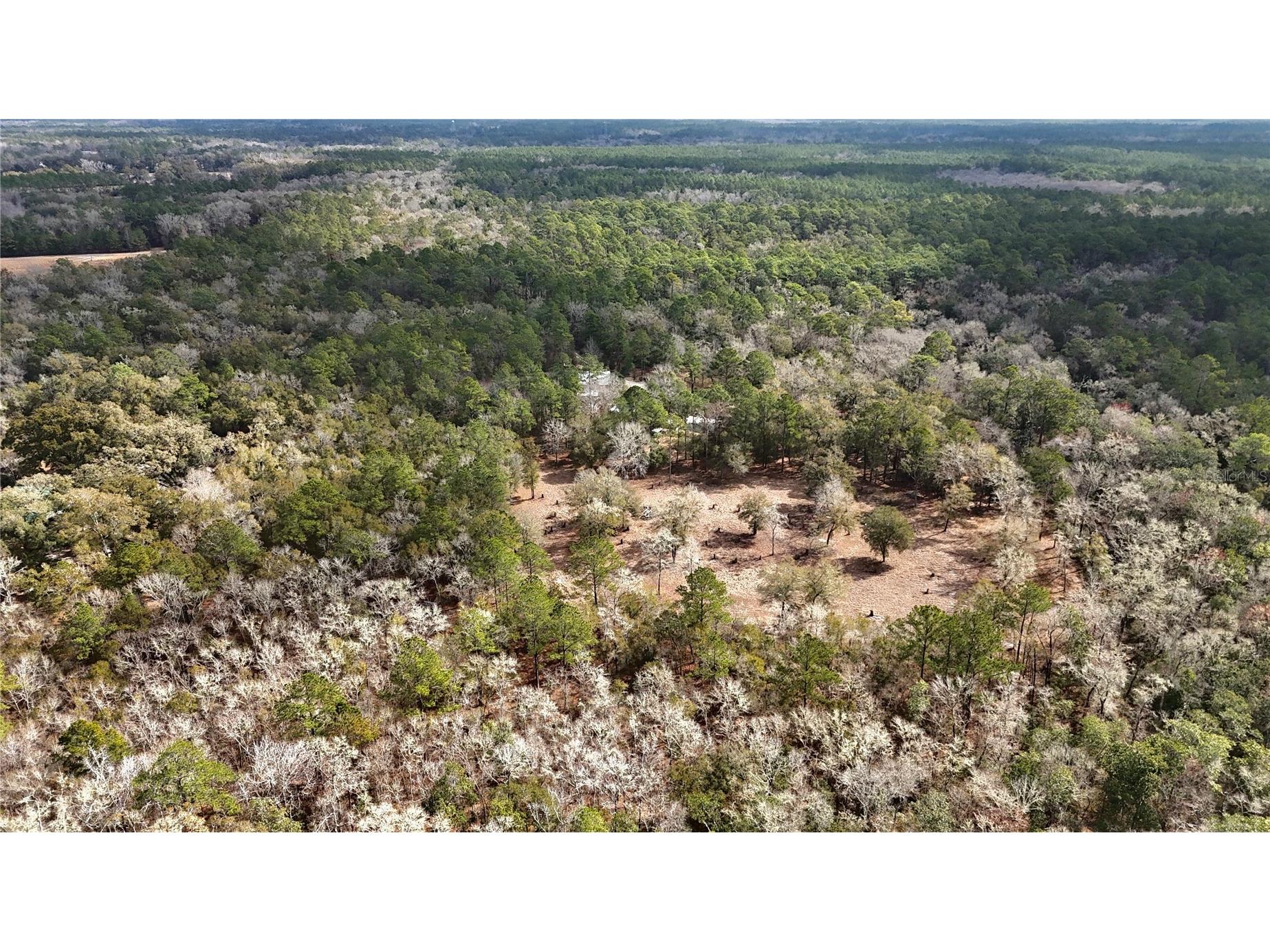 210 Tucker Springs Road Sopchoppy FL 32358 OM719437 image49