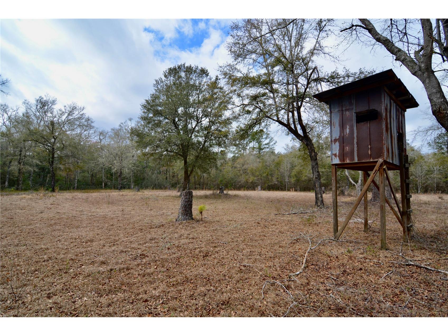 210 Tucker Springs Road Sopchoppy FL 32358 OM719437 image5