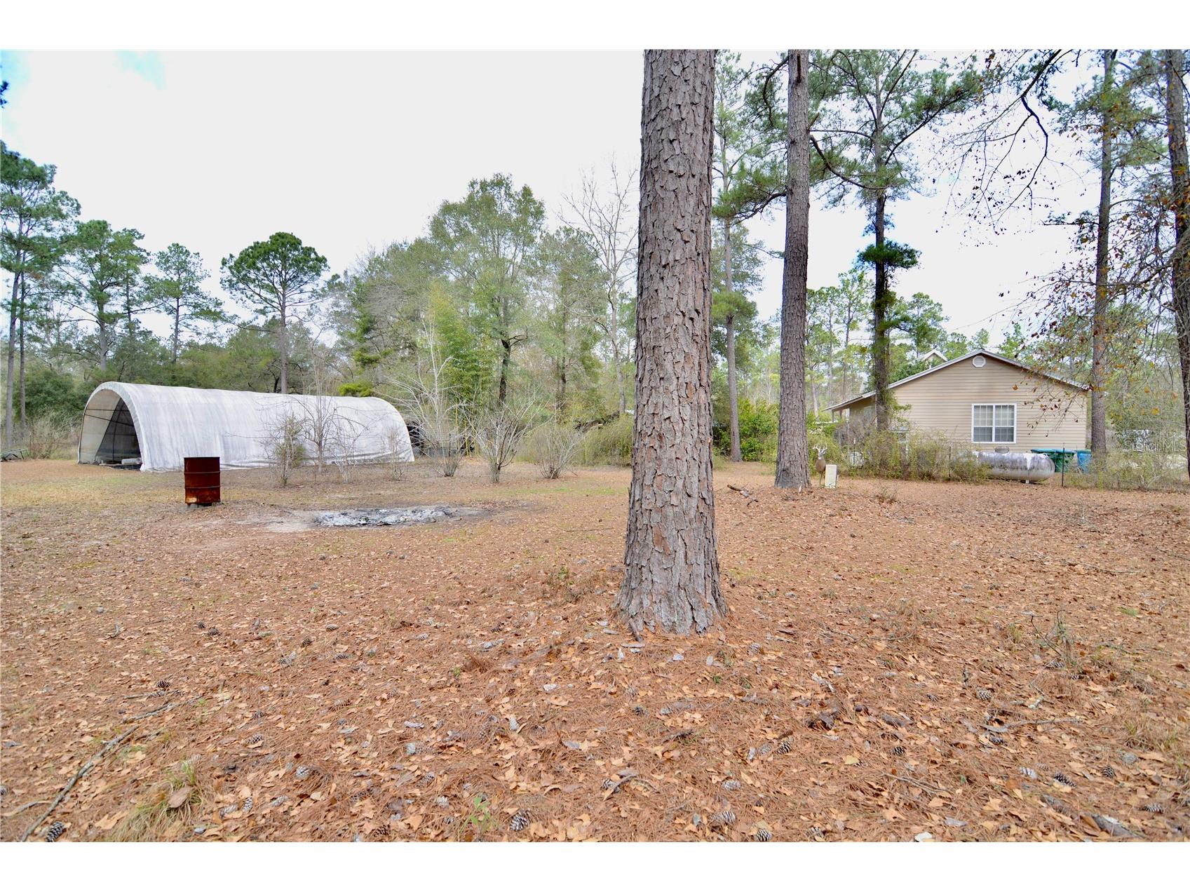 210 Tucker Springs Road Sopchoppy FL 32358 OM719437 image63