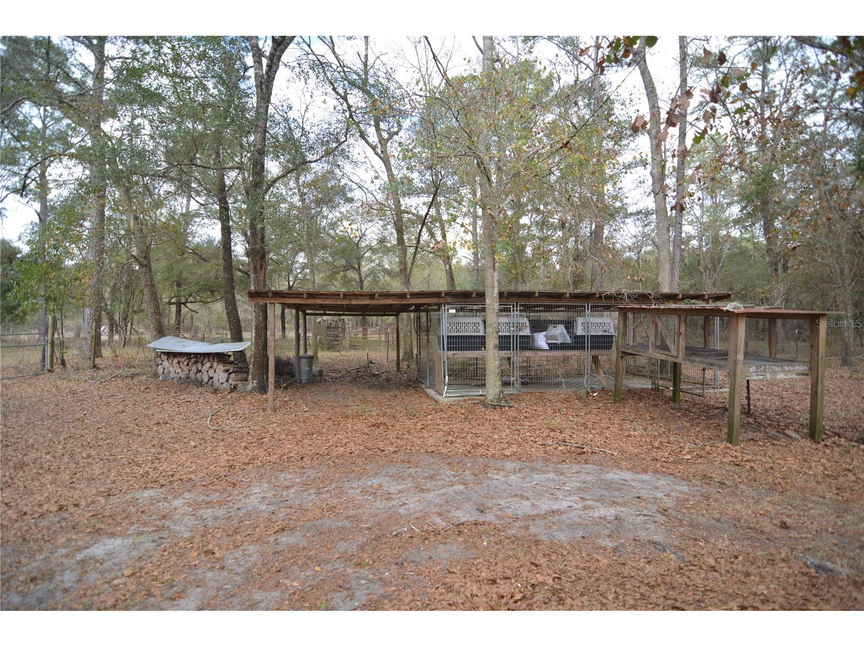 210 Tucker Springs Road Sopchoppy FL 32358 OM719437 image64