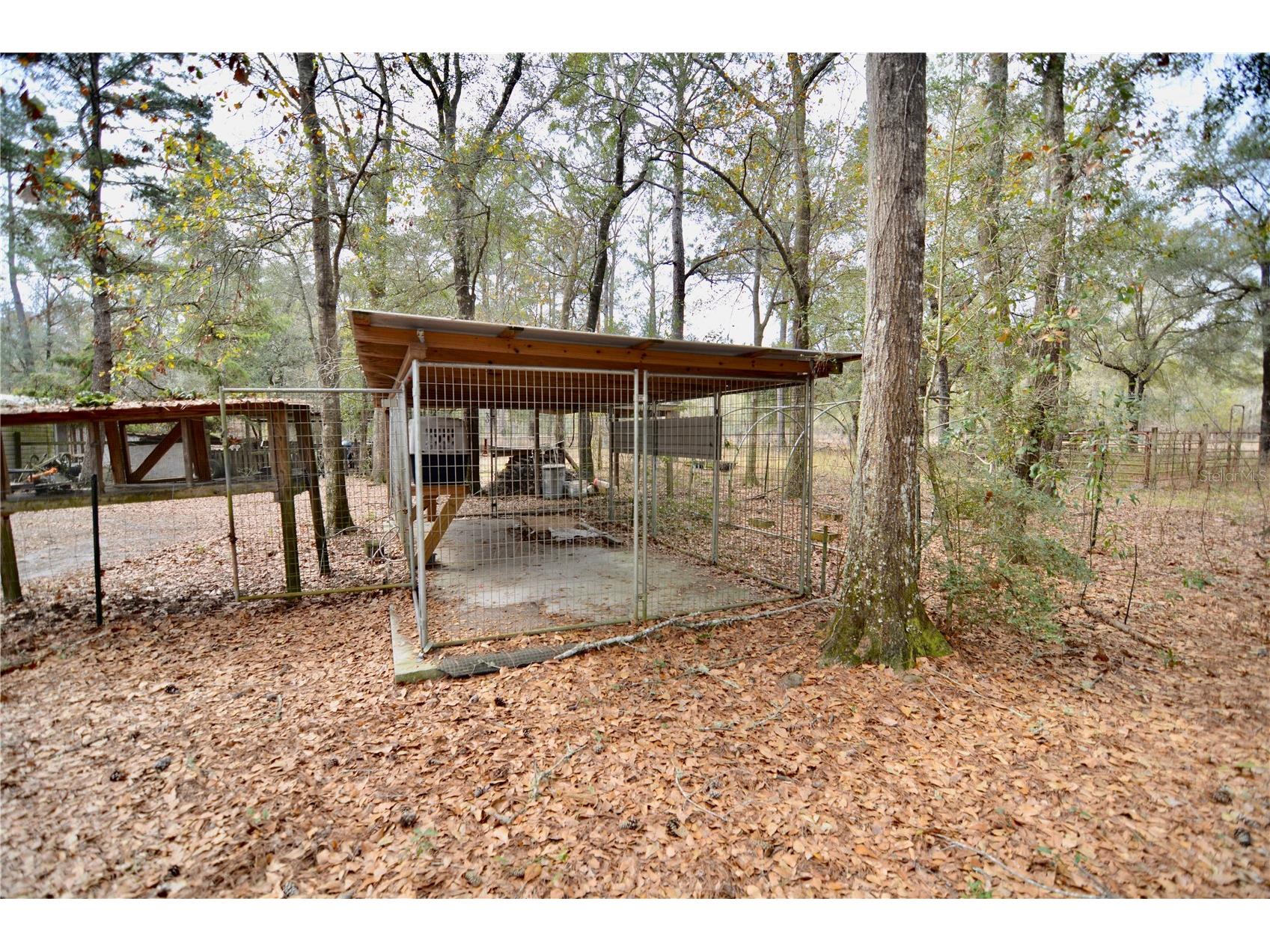210 Tucker Springs Road Sopchoppy FL 32358 OM719437 image65