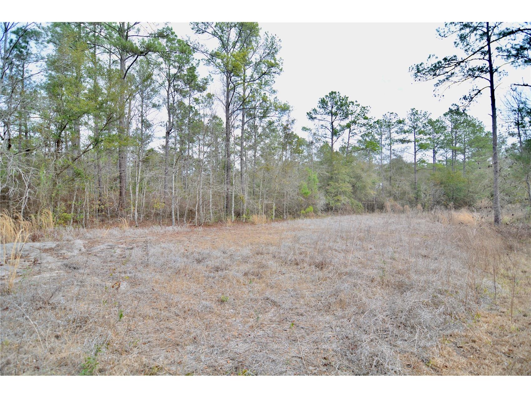 210 Tucker Springs Road Sopchoppy FL 32358 OM719437 image66