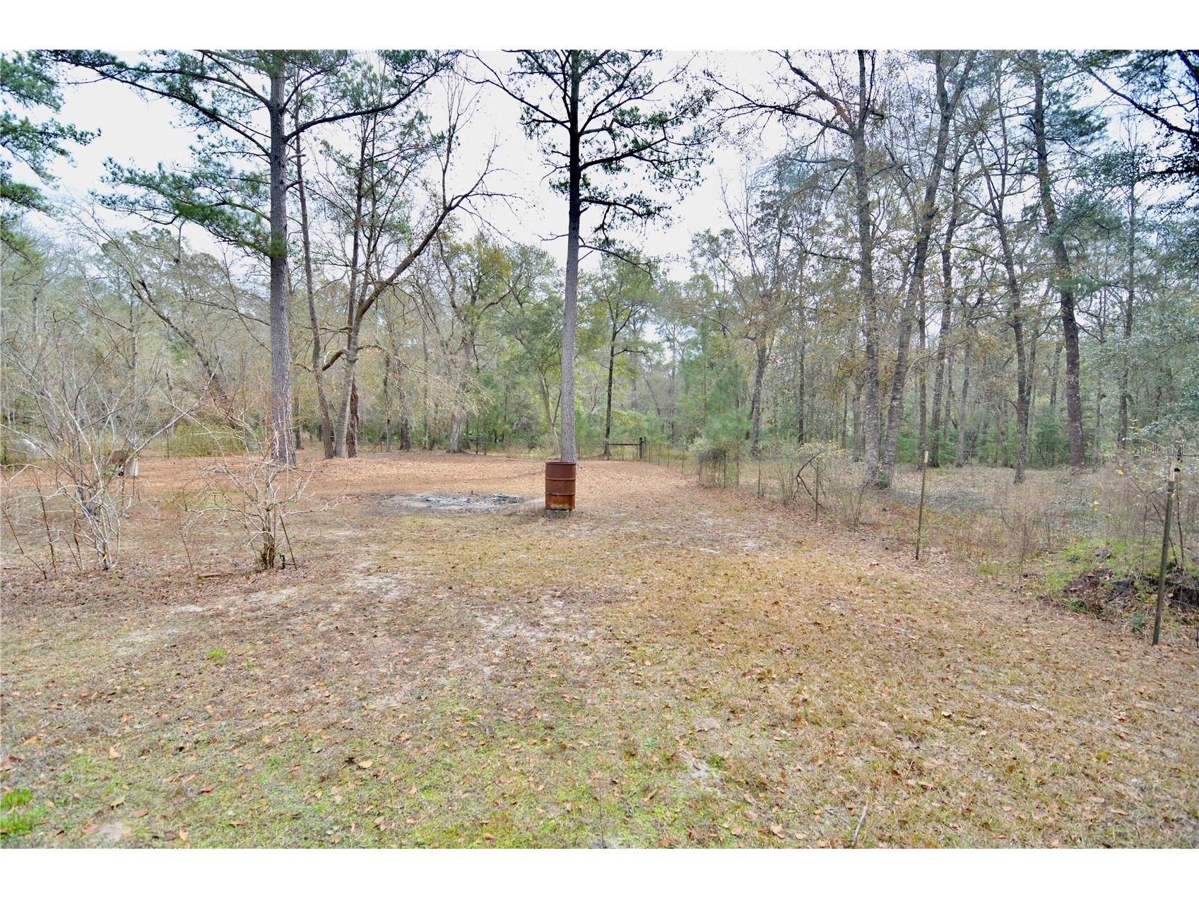 210 Tucker Springs Road Sopchoppy FL 32358 OM719437 image67