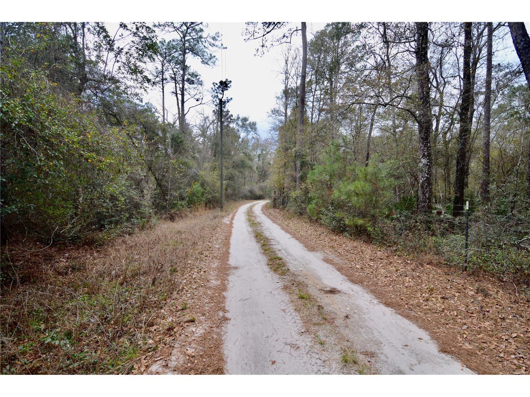 210 Tucker Springs Road Sopchoppy FL 32358 OM719437 image71
