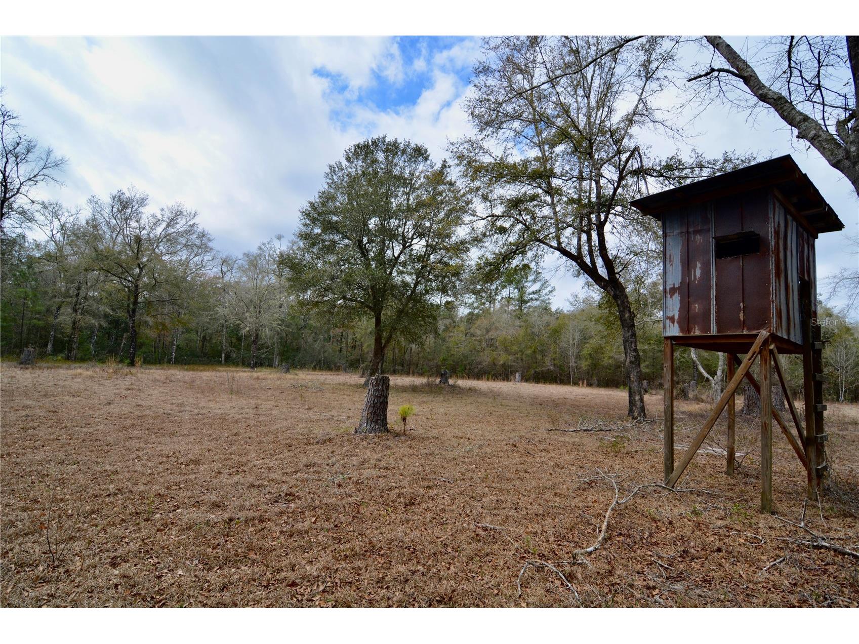 210 Tucker Springs Road Sopchoppy FL 32358 OM719437 image72