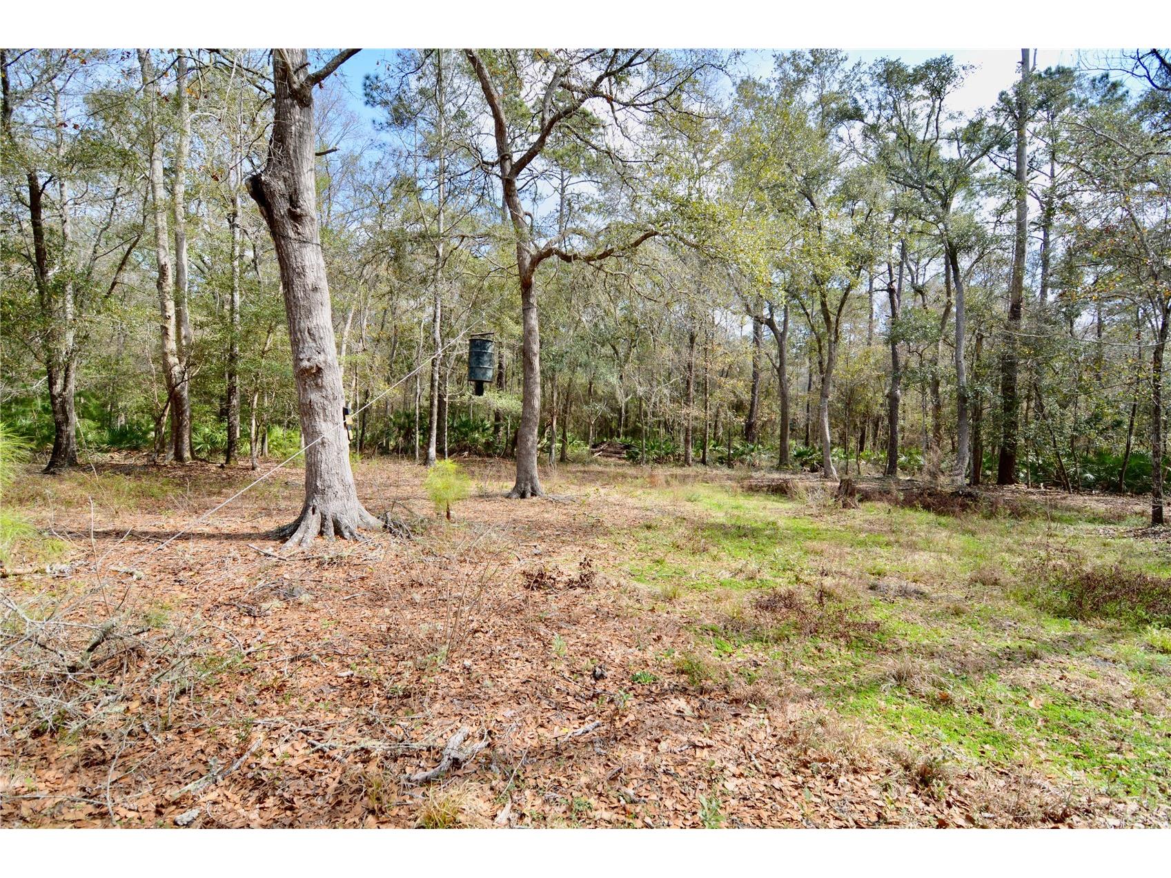 210 Tucker Springs Road Sopchoppy FL 32358 OM719437 image73