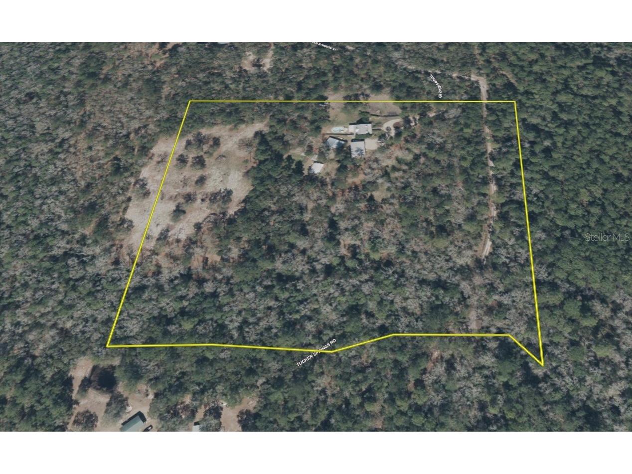 210 Tucker Springs Road Sopchoppy FL 32358 OM719437 image89