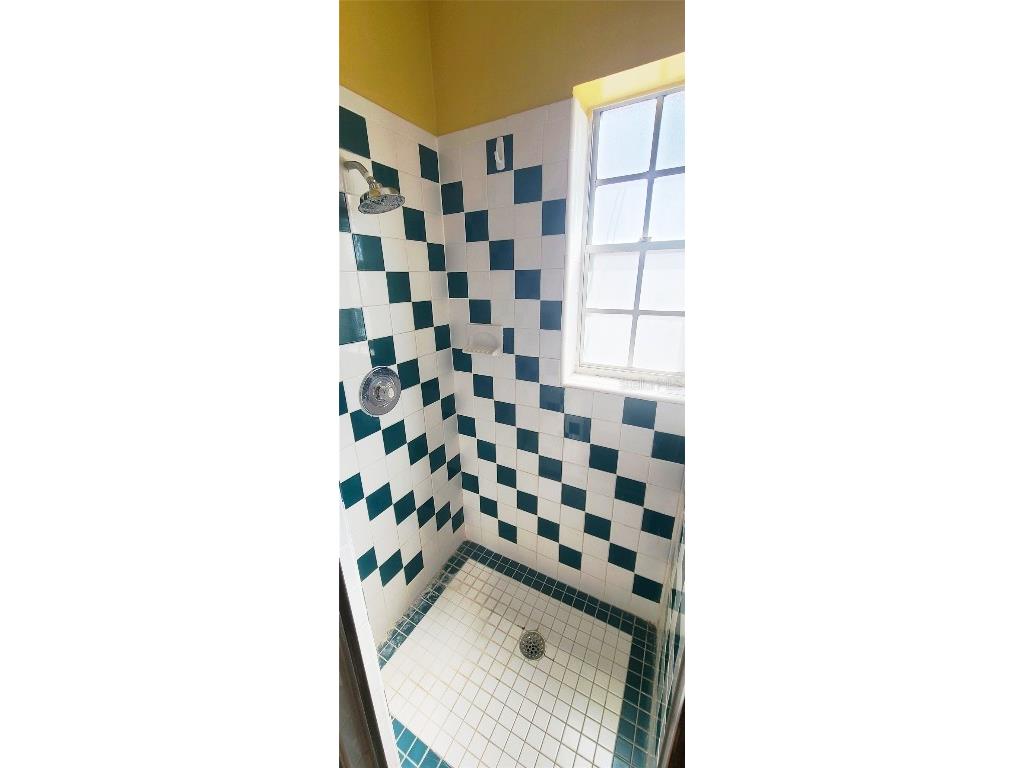 210 W Linebaugh Avenue Tampa FL 33612 TB8454545 image12