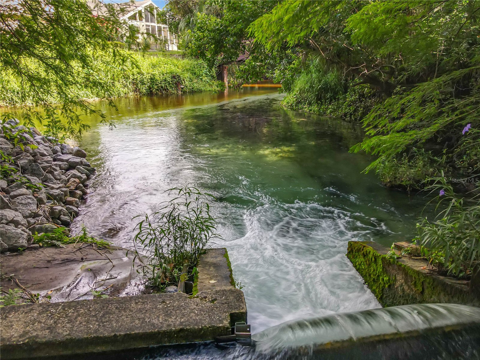 210 Weeping Elm Lane Longwood FL 32779 - LITTLE WEKIVA RIVER O6406186 image37