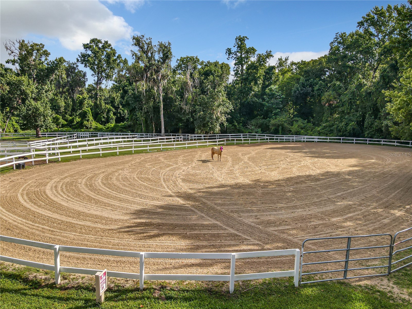 210 Weeping Elm Lane Longwood FL 32779 - LITTLE WEKIVA RIVER O6406186 image40