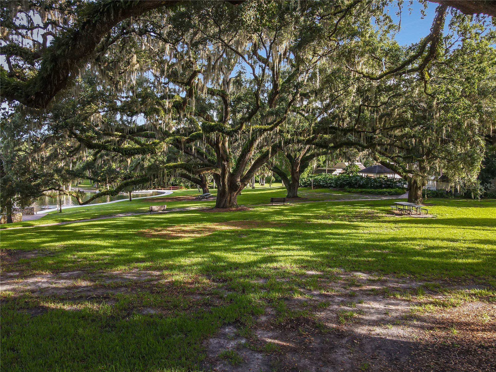 210 Weeping Elm Lane Longwood FL 32779 - LITTLE WEKIVA RIVER O6406186 image43