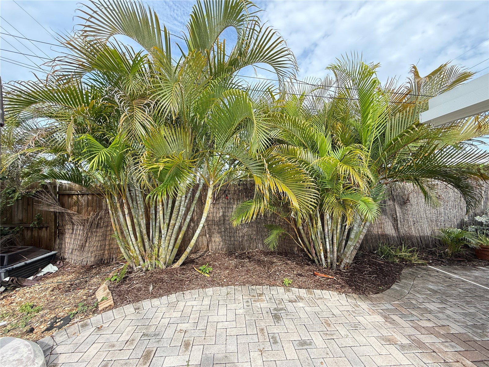 2100 8th Avenue SW Largo FL 33770 TB8515095 image38