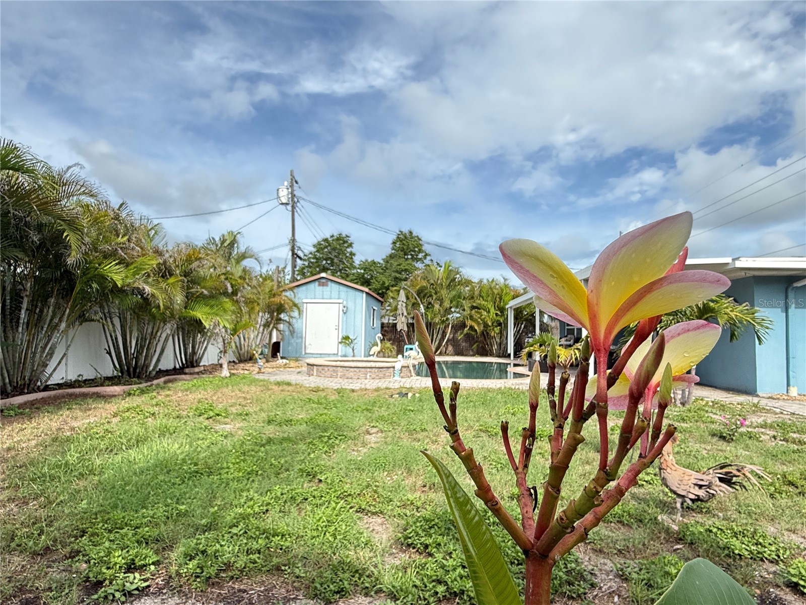 2100 8th Avenue SW Largo FL 33770 TB8515095 image5