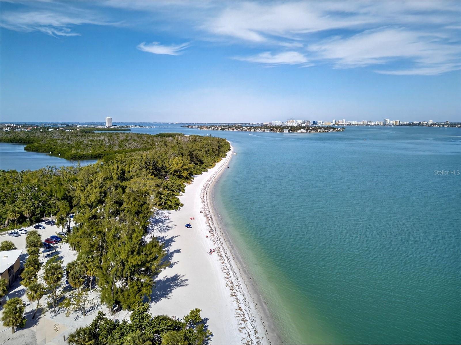 2100 Benjamin Franklin Drive #203 Sarasota FL 34236 A4671669 image27