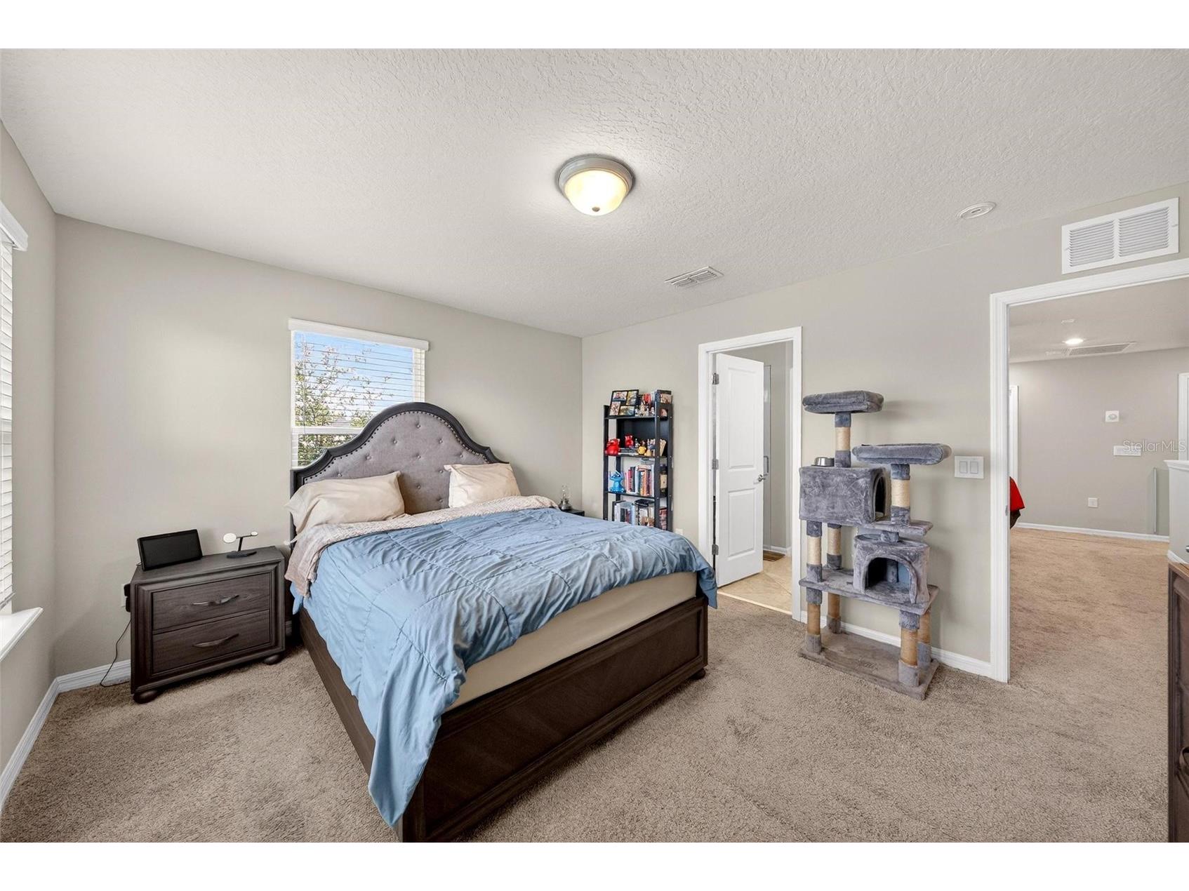 2100 Gopher Tortoise Terrace Oakland FL 34787 O6374216 image29
