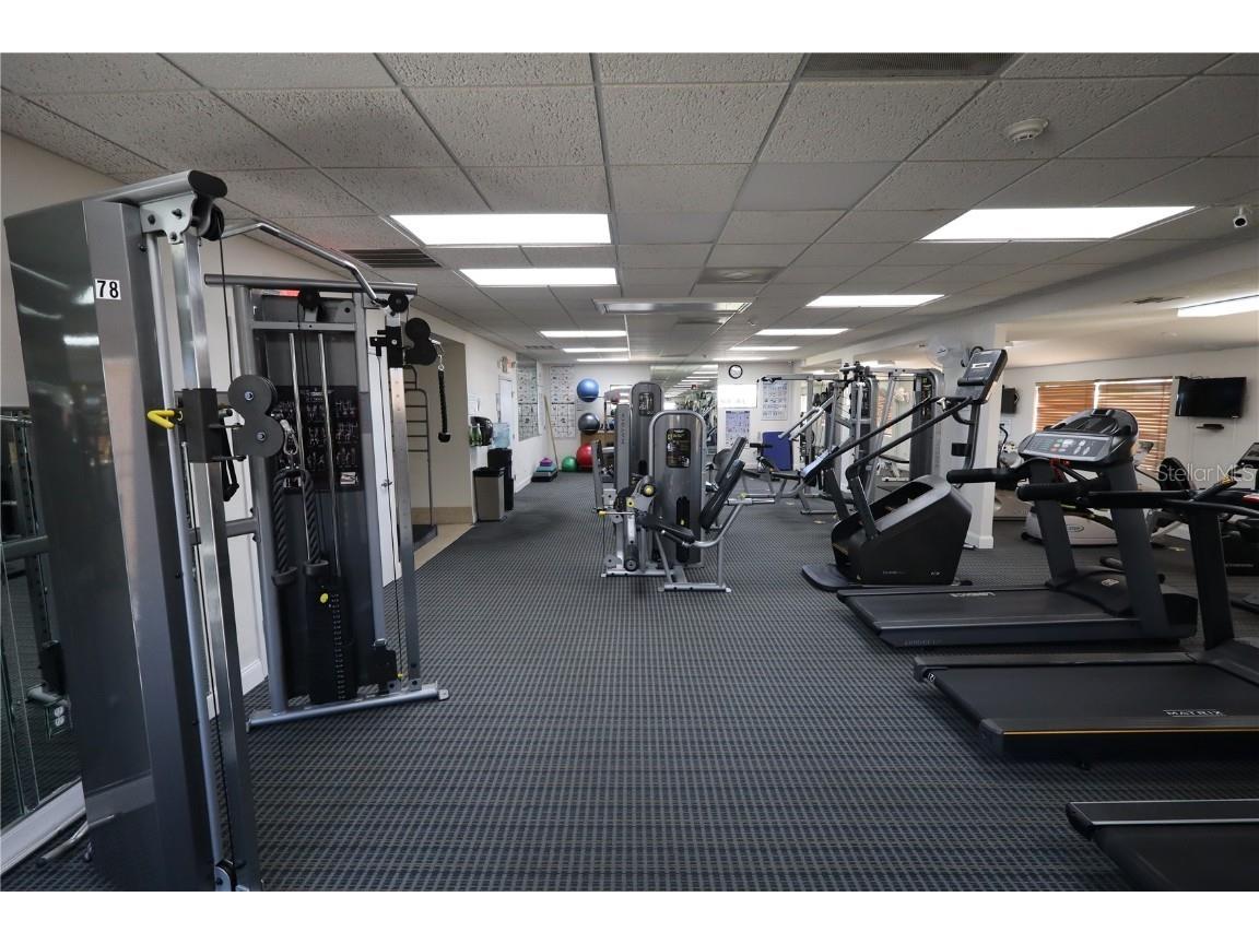 2100 Kings Highway #127 Port Charlotte FL 33980 C7517186 image40