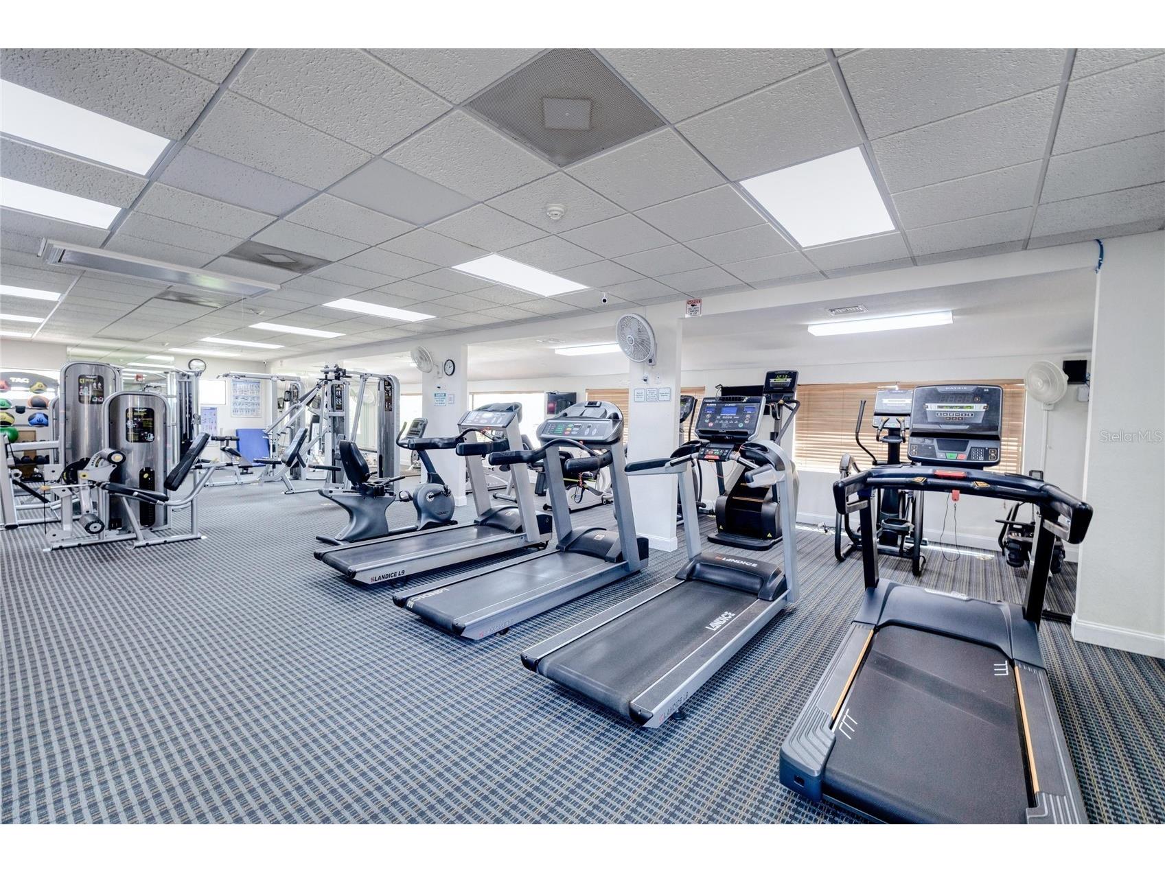 2100 Kings Highway #406 Port Charlotte FL 33980 C7522968 image73