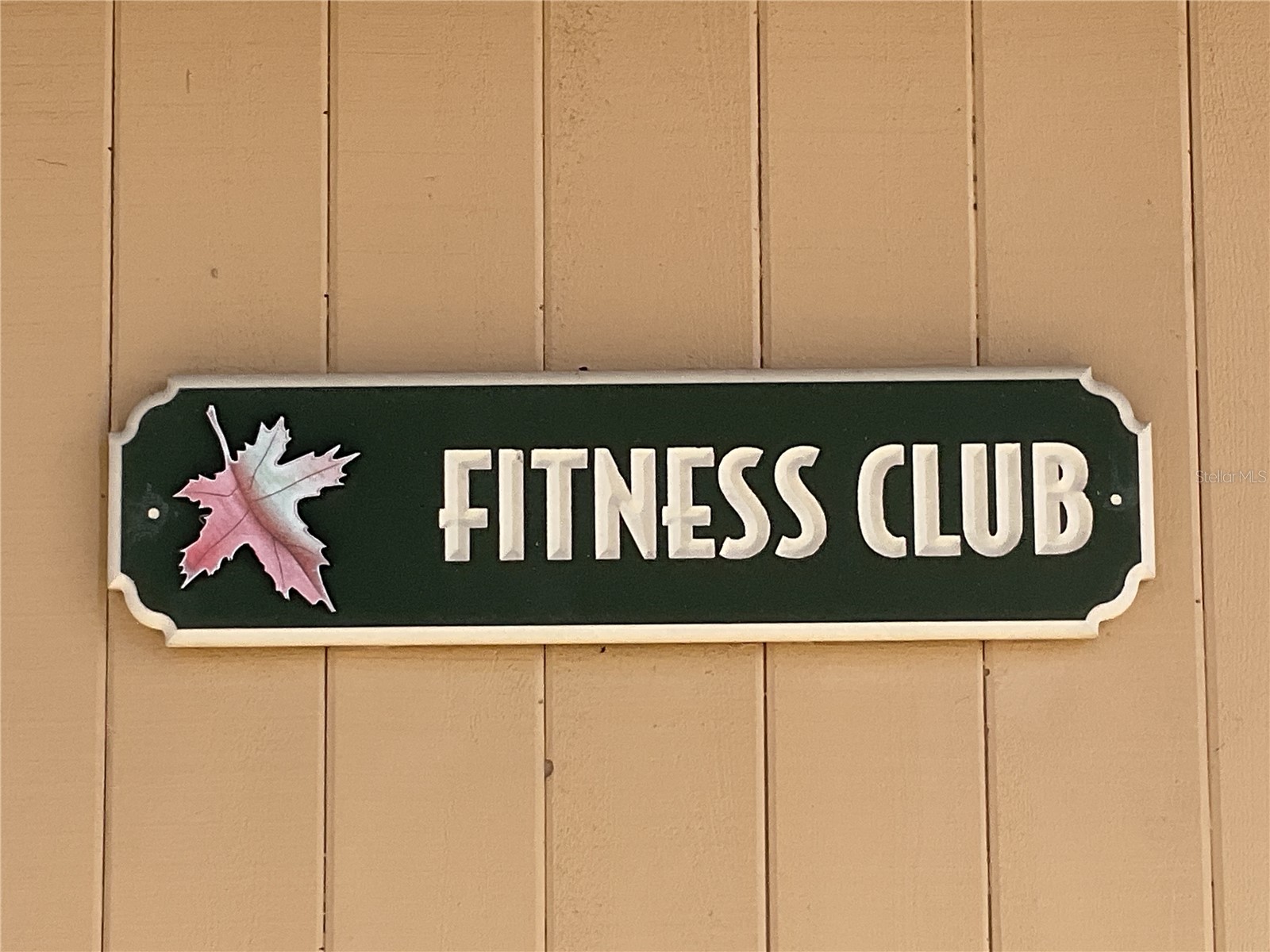 2100 Kings Highway #98 Port Charlotte FL 33980 C7526535 image52