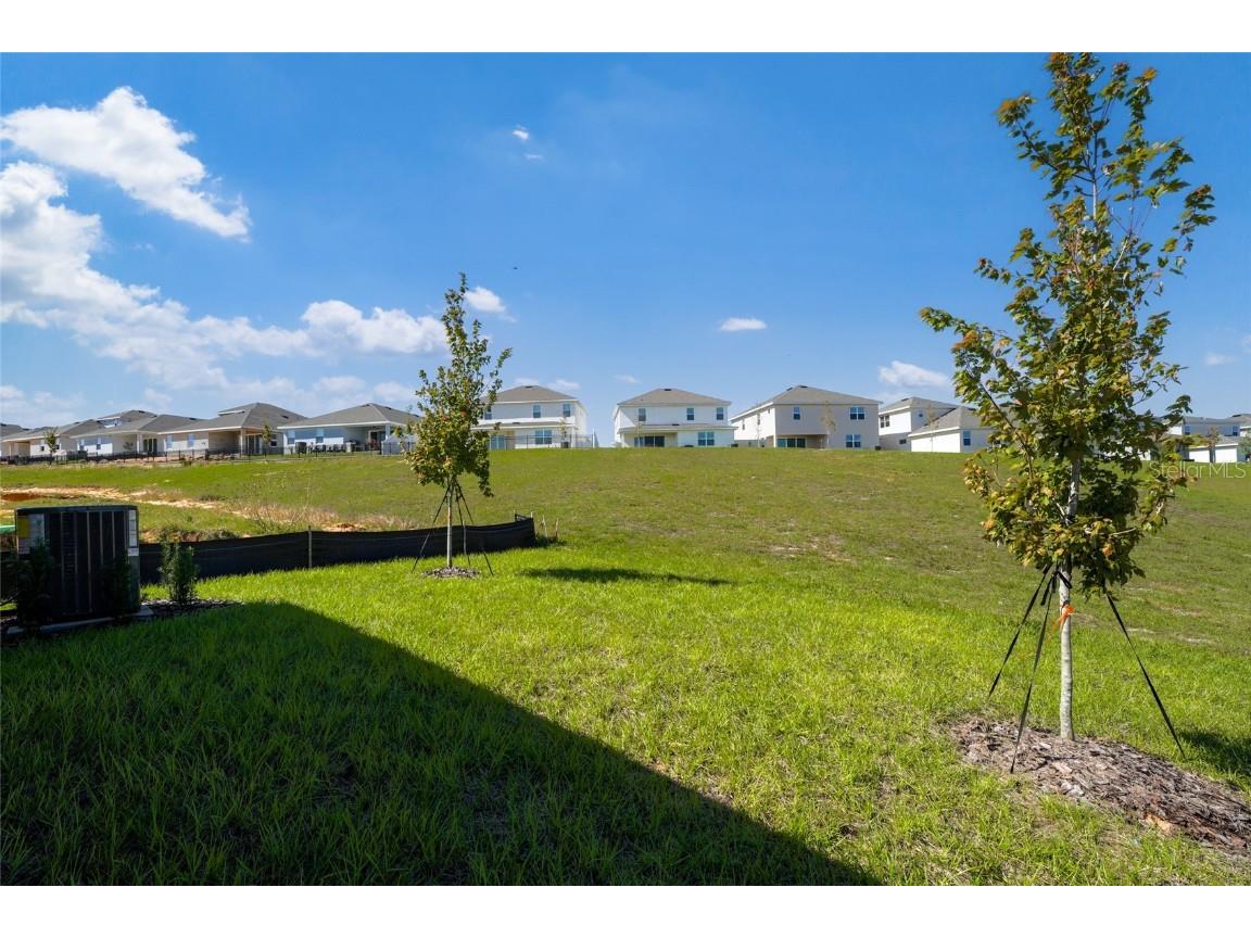 2100 Maverick Court Minneola FL 34715 O6356761 image24