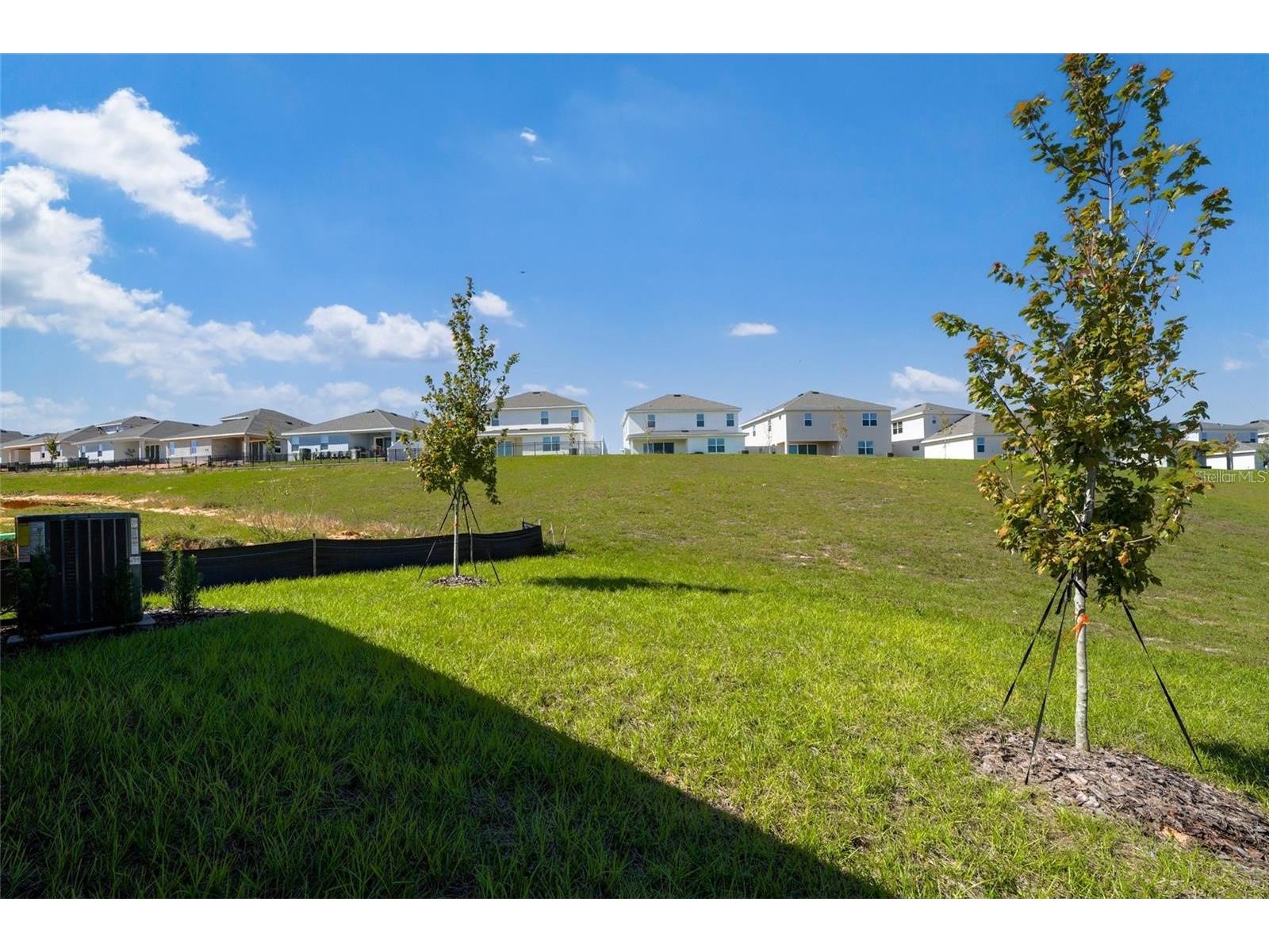 2100 Maverick Court Minneola FL 34715 O6415186 image24