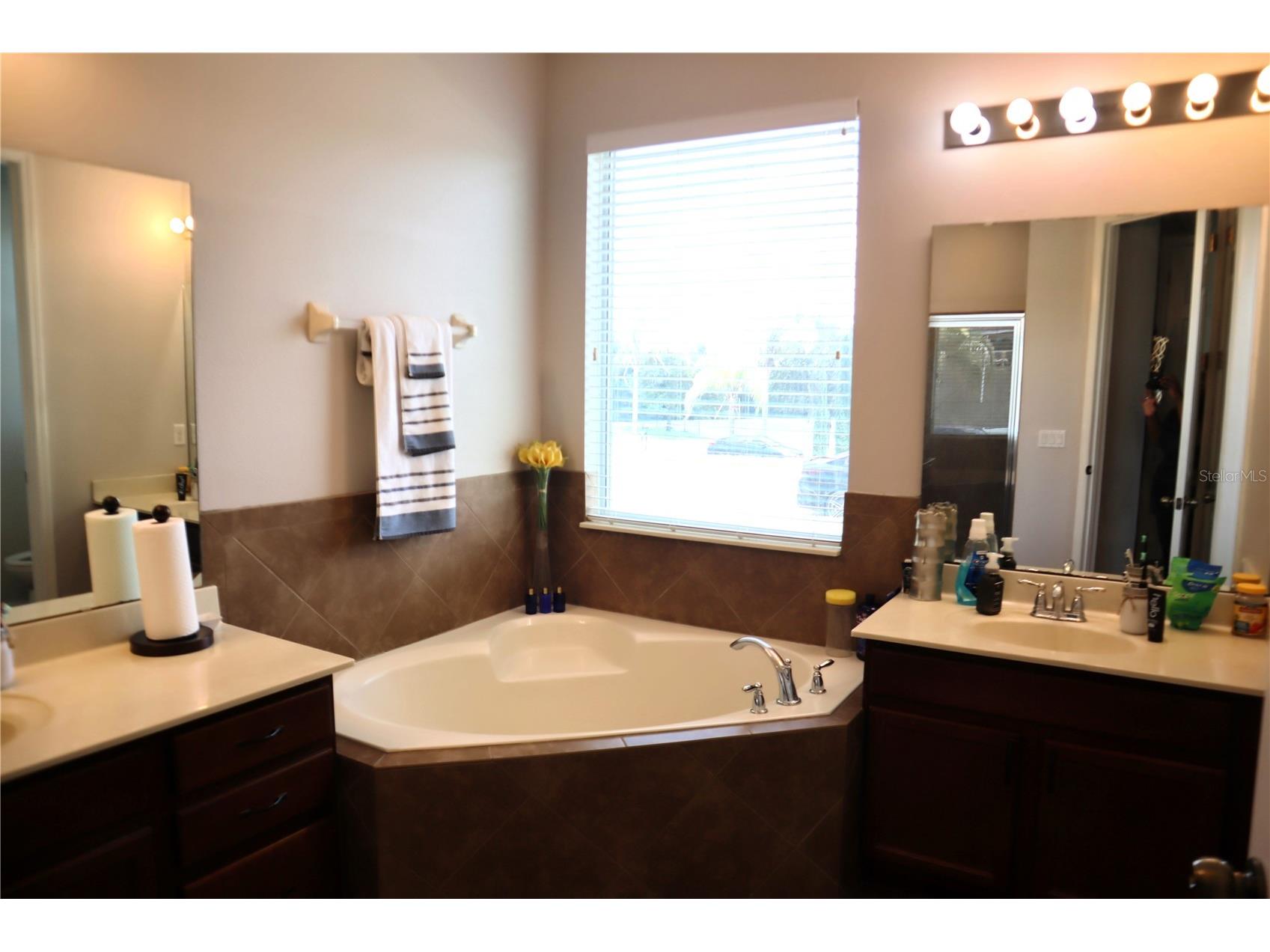 2100 Misty Glen Drive Apopka FL 32712 O6409396 image26
