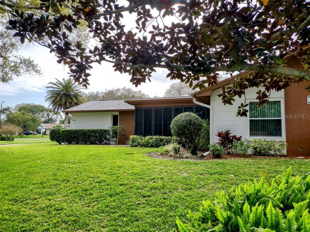 2100 Shelly Drive #A Palm Harbor FL 34684 U8191145 image1