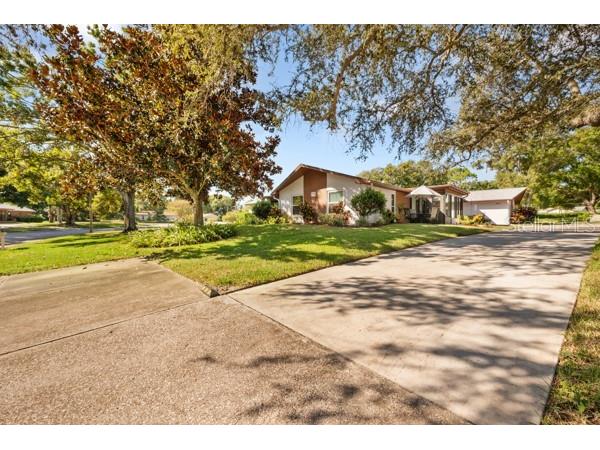 2100 Shelly Drive #B Palm Harbor FL 34684 TB8431046 image1