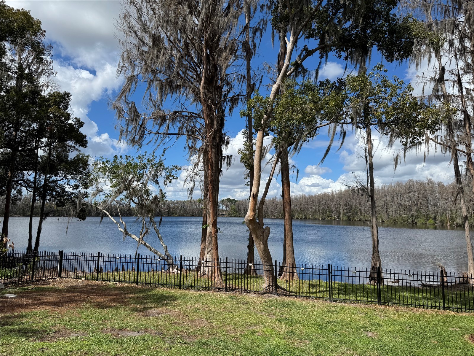 21001 Lake Vienna Drive Land O Lakes FL 34638 - BIG LAKE VIENNA TB8482676 image1