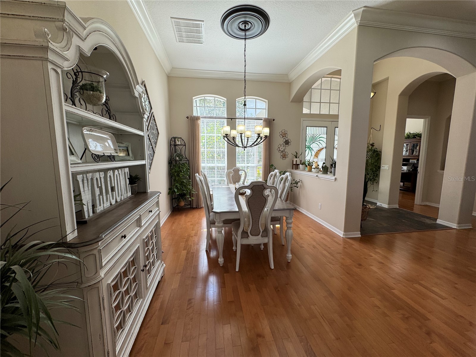 21001 Lake Vienna Drive Land O Lakes FL 34638 - BIG LAKE VIENNA TB8482676 image13