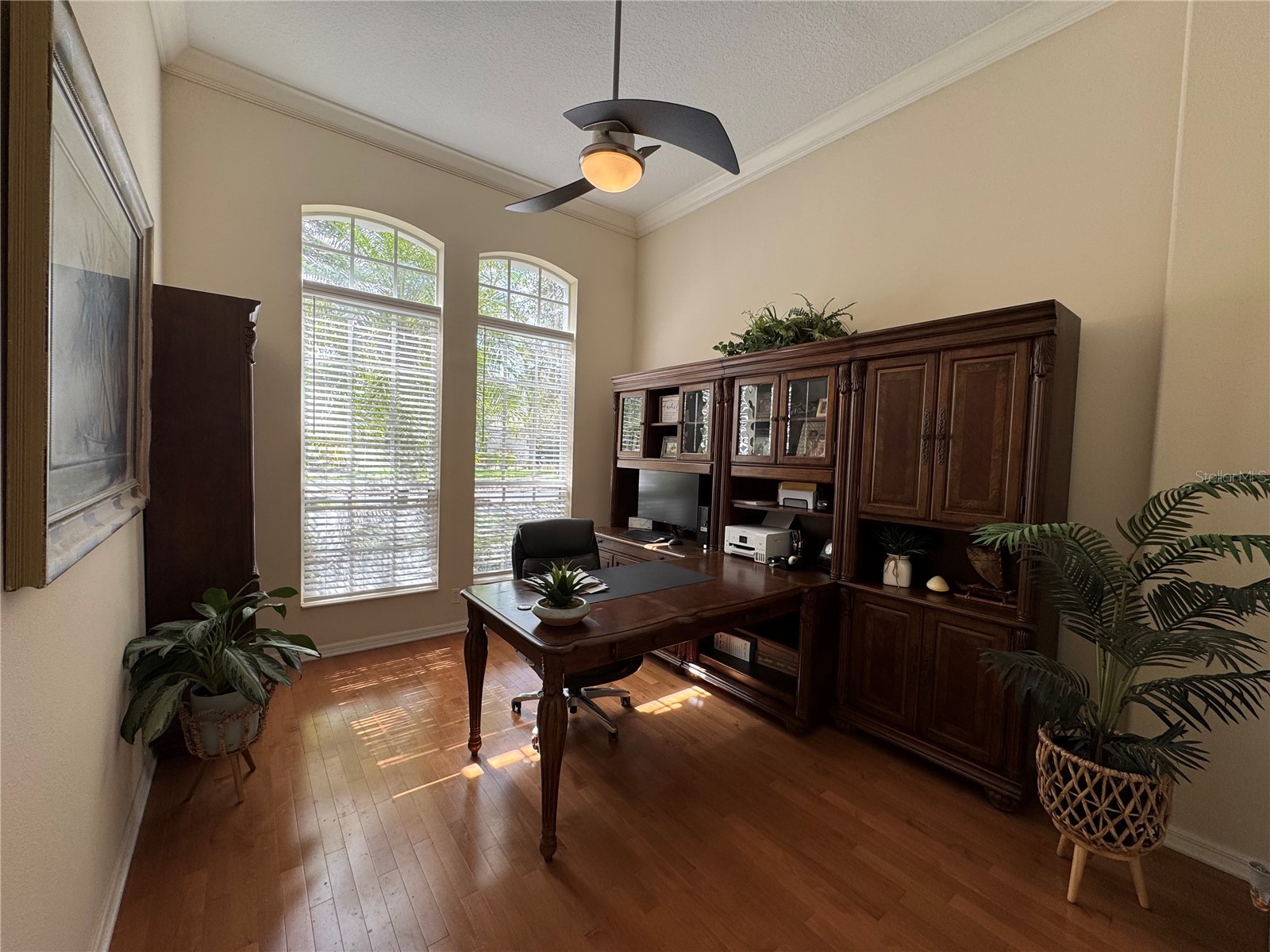 21001 Lake Vienna Drive Land O Lakes FL 34638 - BIG LAKE VIENNA TB8482676 image14