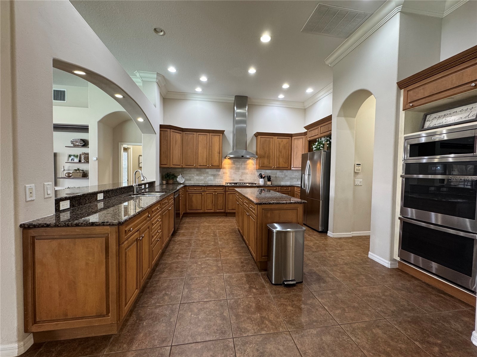 21001 Lake Vienna Drive Land O Lakes FL 34638 - BIG LAKE VIENNA TB8482676 image19