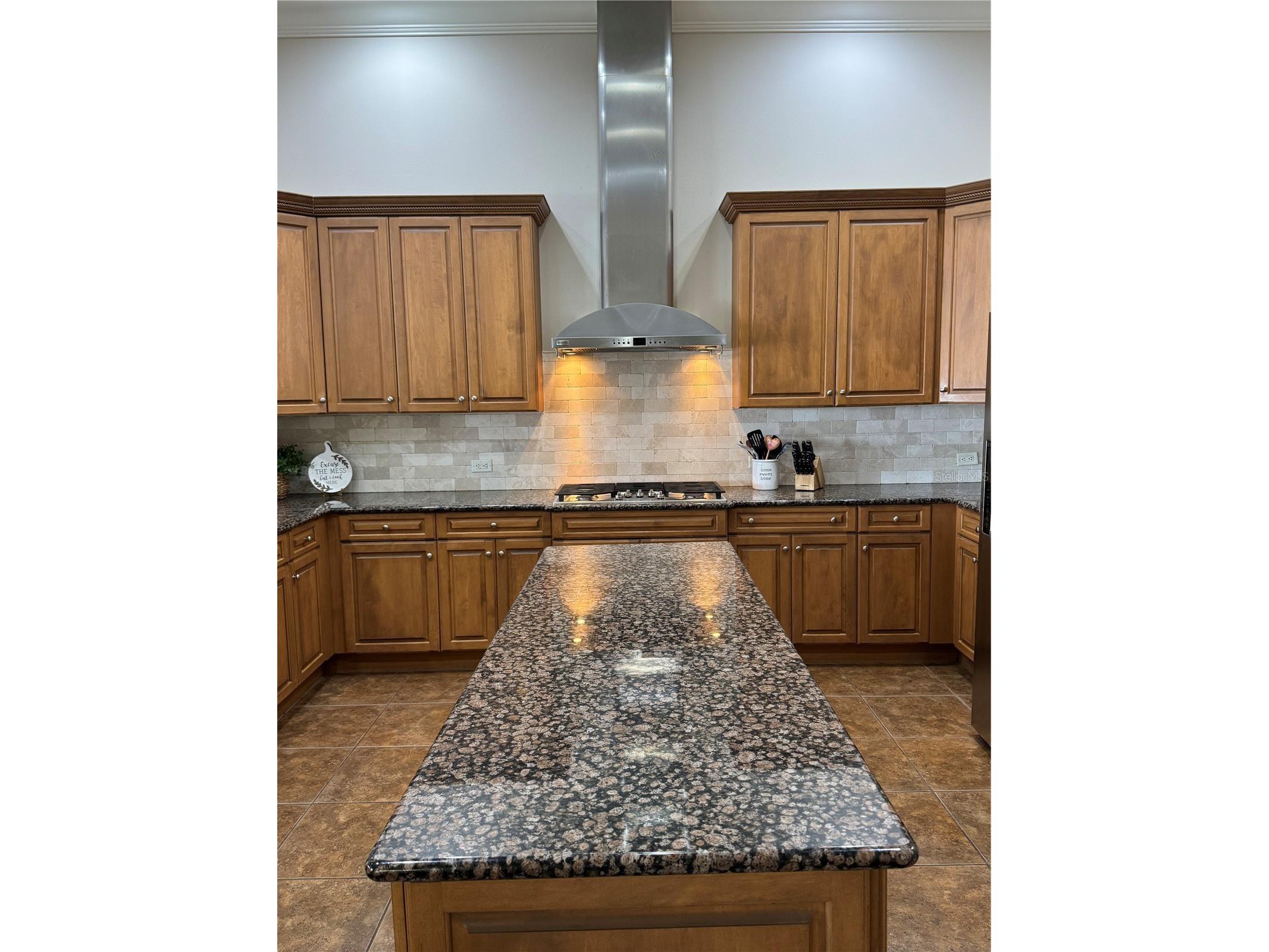 21001 Lake Vienna Drive Land O Lakes FL 34638 - BIG LAKE VIENNA TB8482676 image20