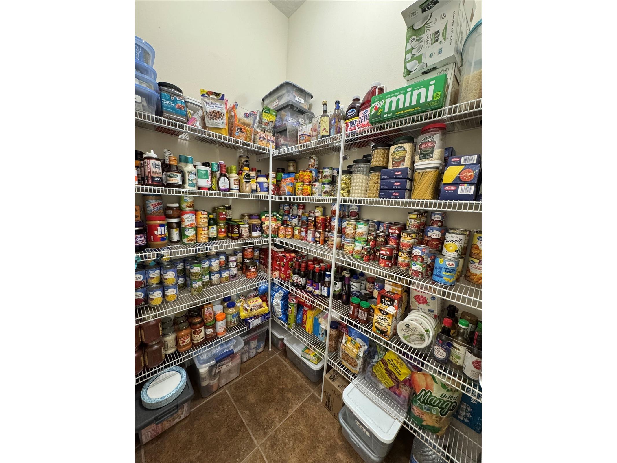 21001 Lake Vienna Drive Land O Lakes FL 34638 - BIG LAKE VIENNA TB8482676 image21