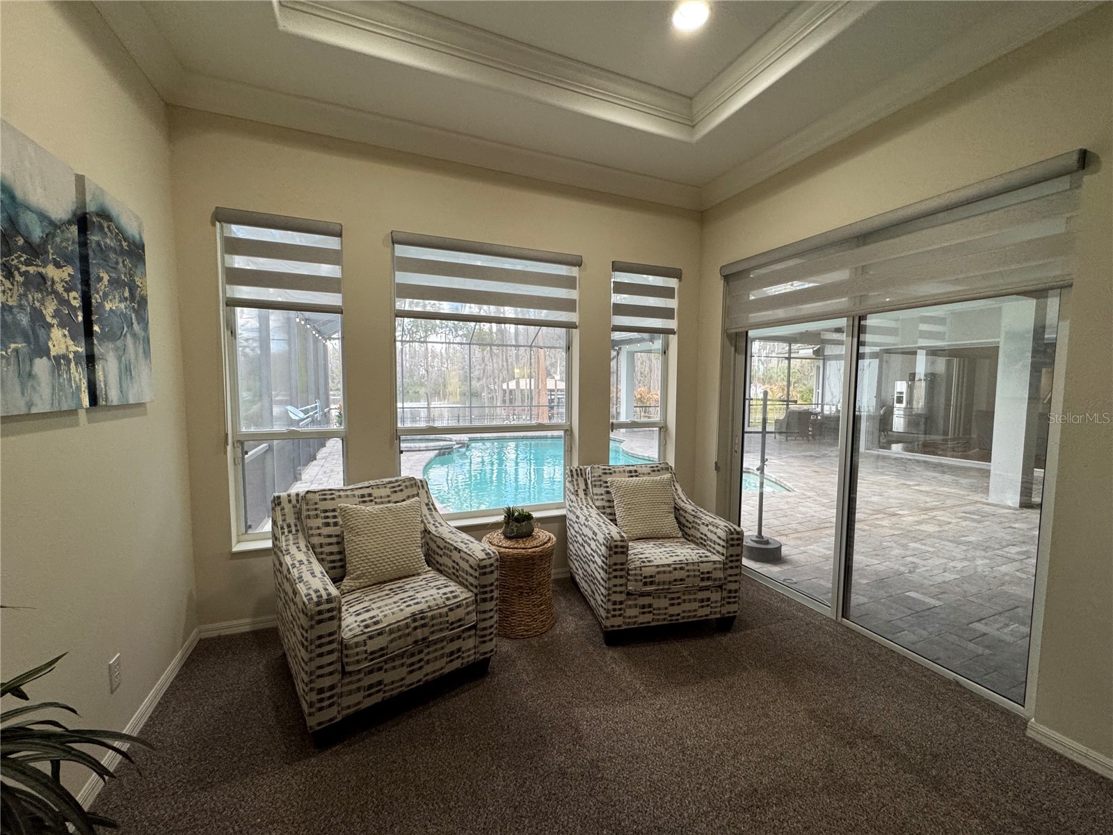 21001 Lake Vienna Drive Land O Lakes FL 34638 - BIG LAKE VIENNA TB8482676 image30