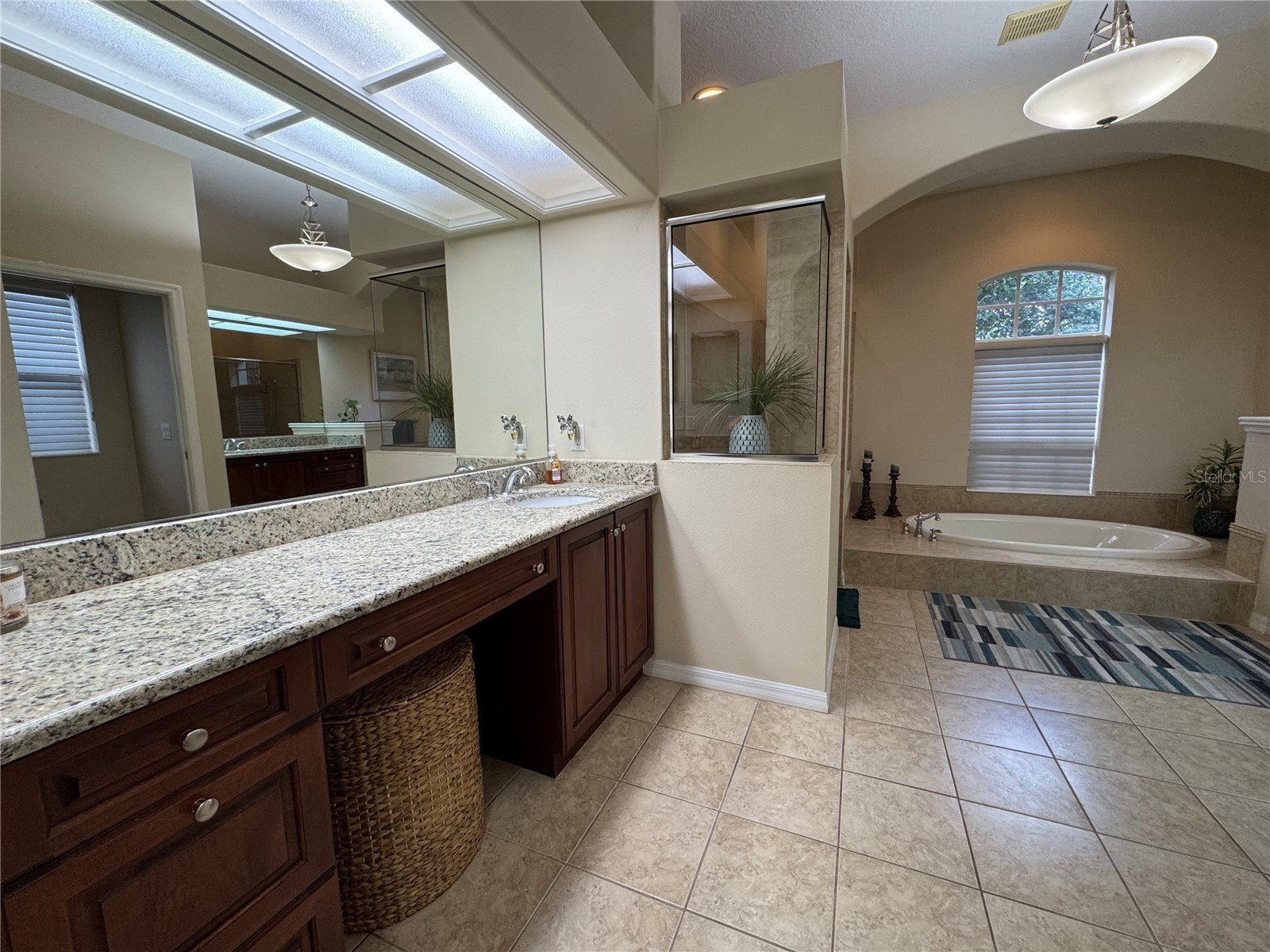 21001 Lake Vienna Drive Land O Lakes FL 34638 - BIG LAKE VIENNA TB8482676 image32