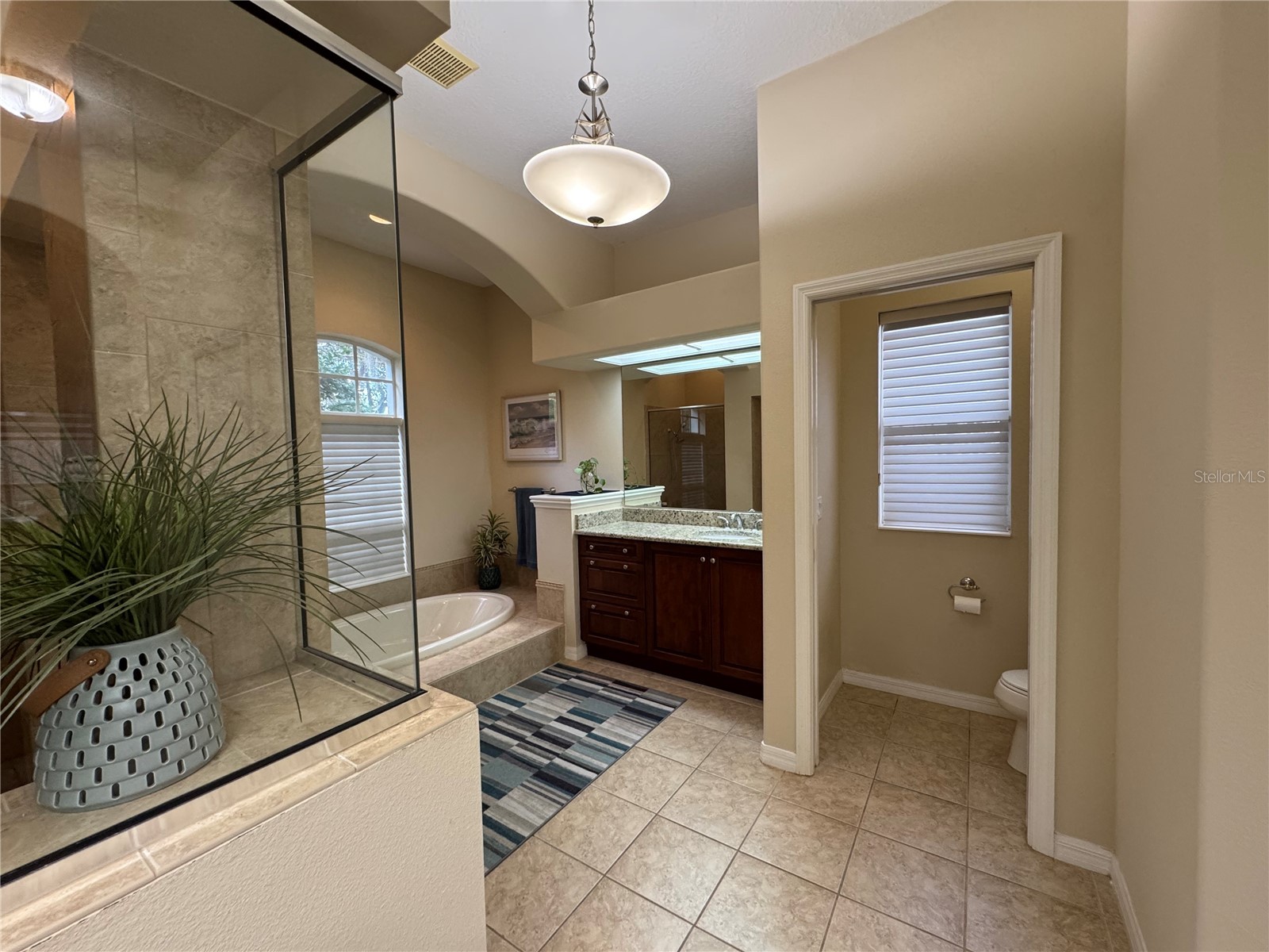 21001 Lake Vienna Drive Land O Lakes FL 34638 - BIG LAKE VIENNA TB8482676 image33