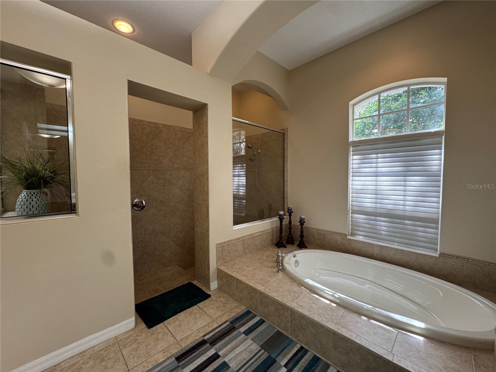 21001 Lake Vienna Drive Land O Lakes FL 34638 - BIG LAKE VIENNA TB8482676 image34