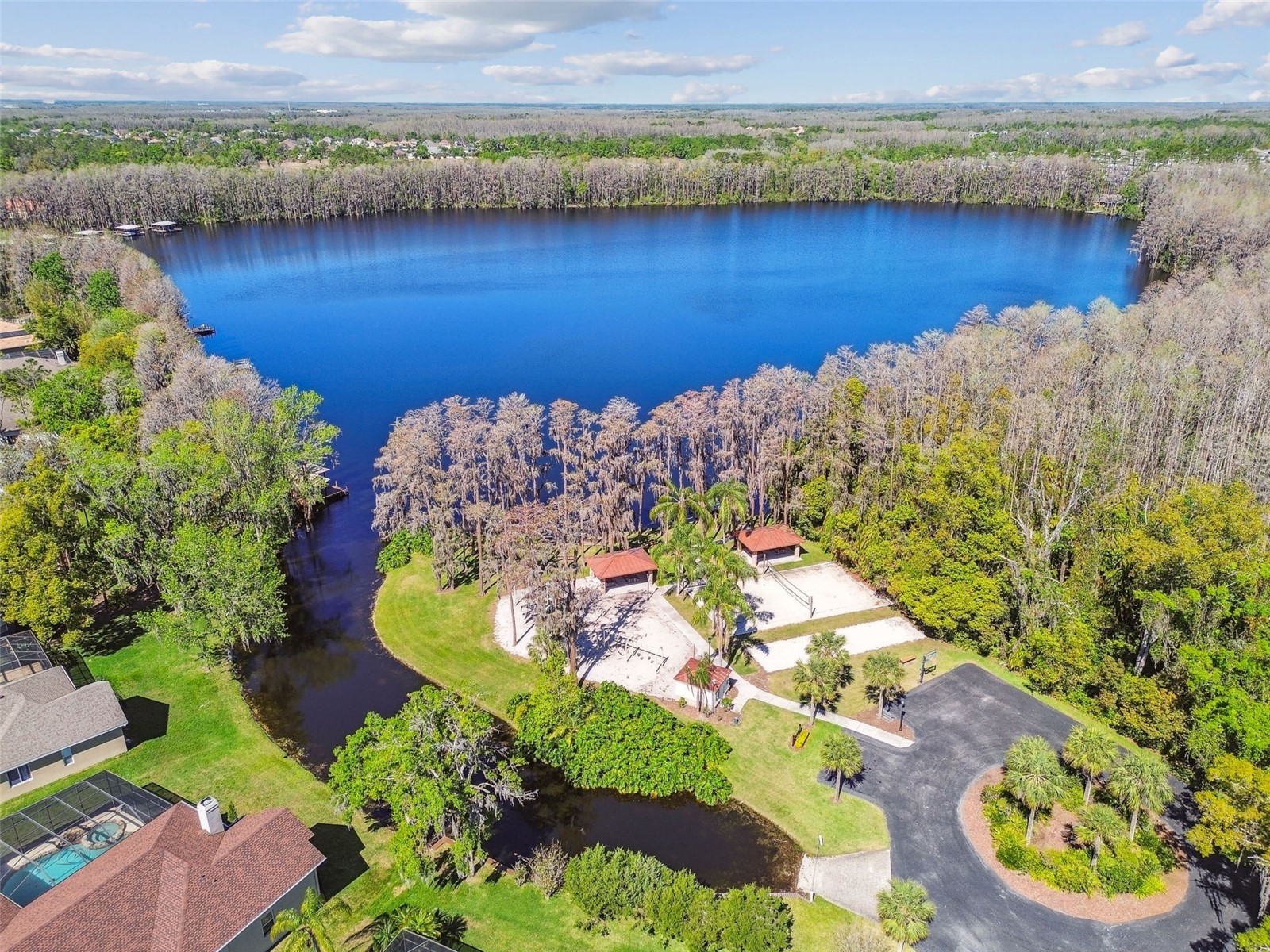 21001 Lake Vienna Drive Land O Lakes FL 34638 - BIG LAKE VIENNA TB8482676 image4