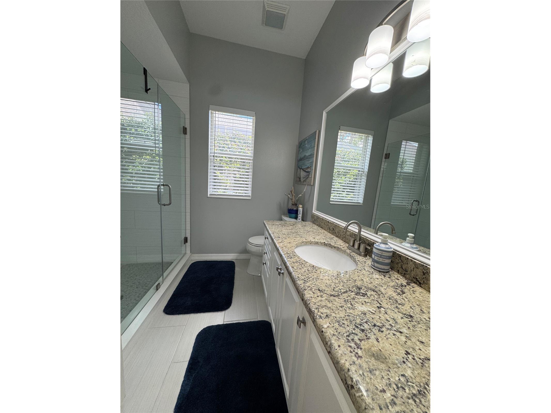 21001 Lake Vienna Drive Land O Lakes FL 34638 - BIG LAKE VIENNA TB8482676 image41