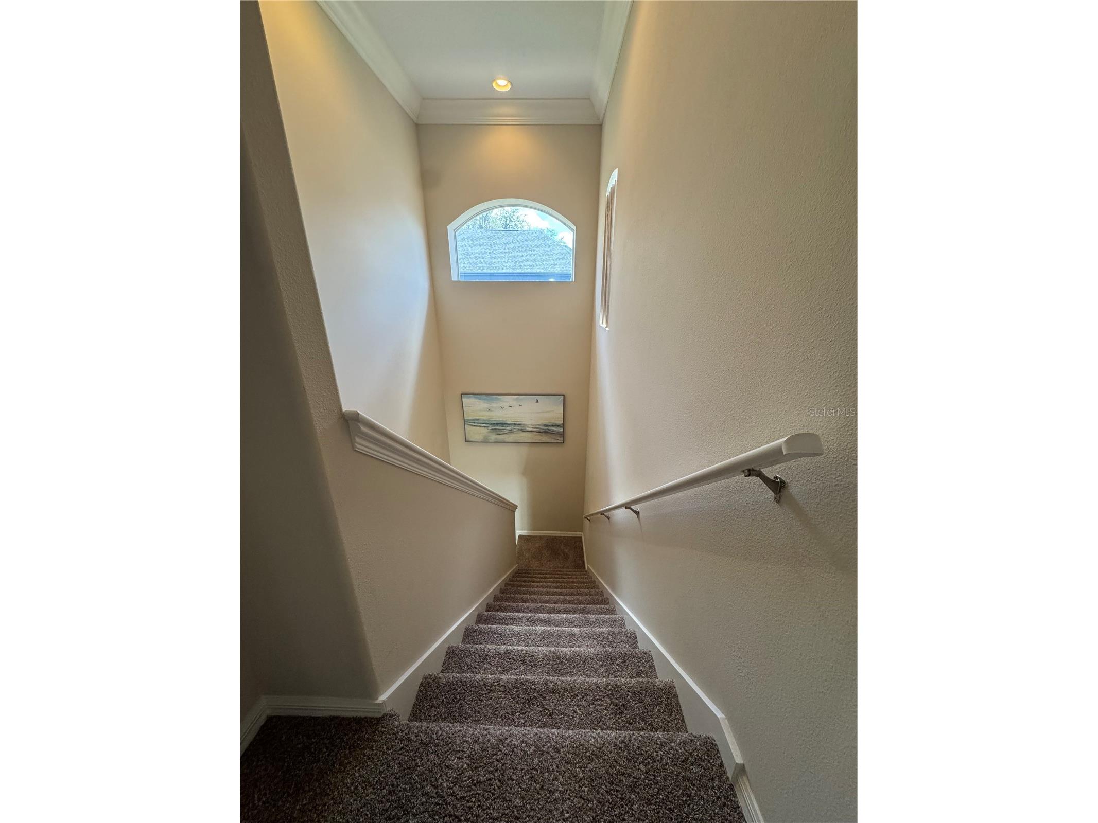 21001 Lake Vienna Drive Land O Lakes FL 34638 - BIG LAKE VIENNA TB8482676 image52