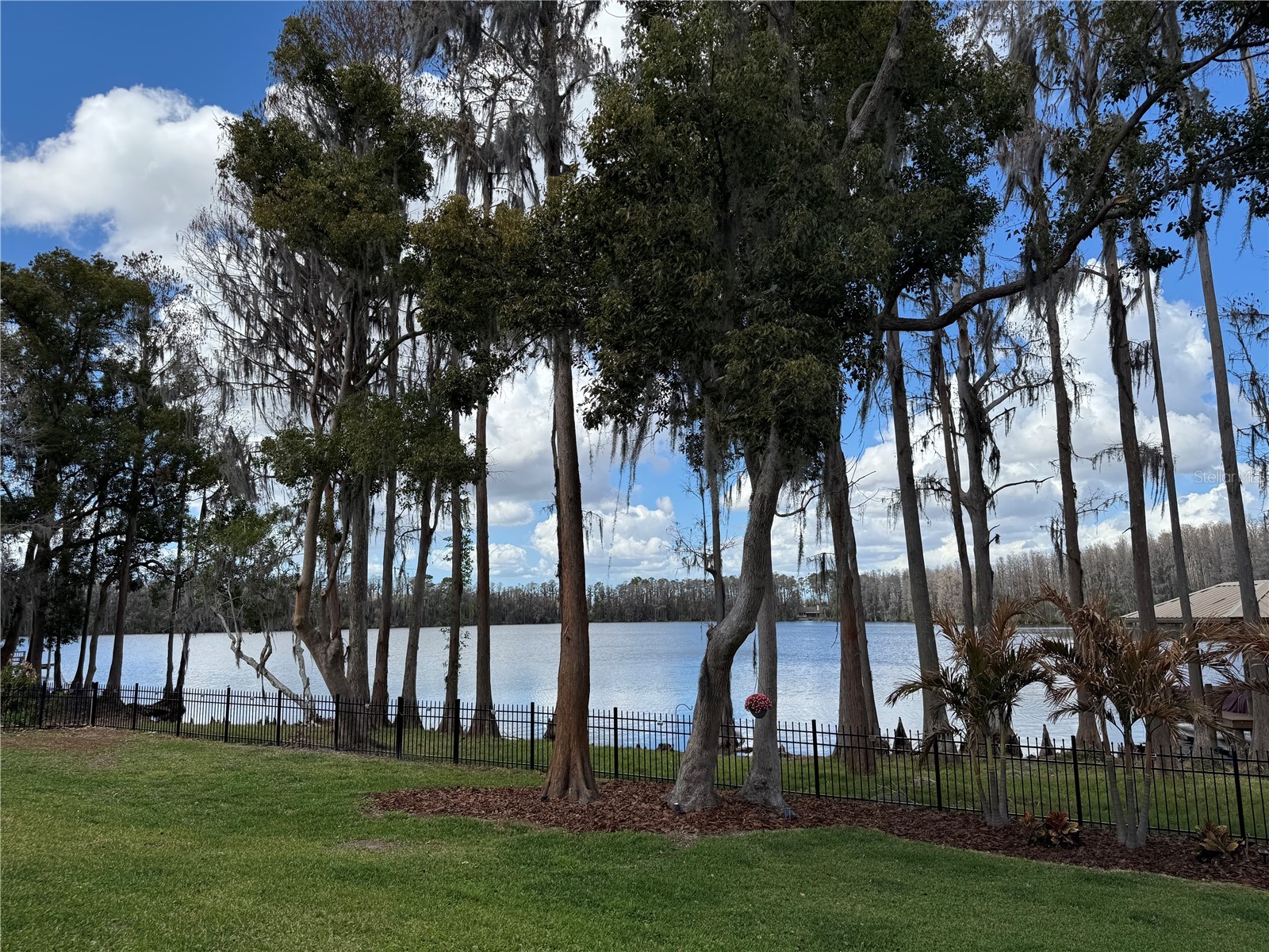 21001 Lake Vienna Drive Land O Lakes FL 34638 - BIG LAKE VIENNA TB8482676 image54