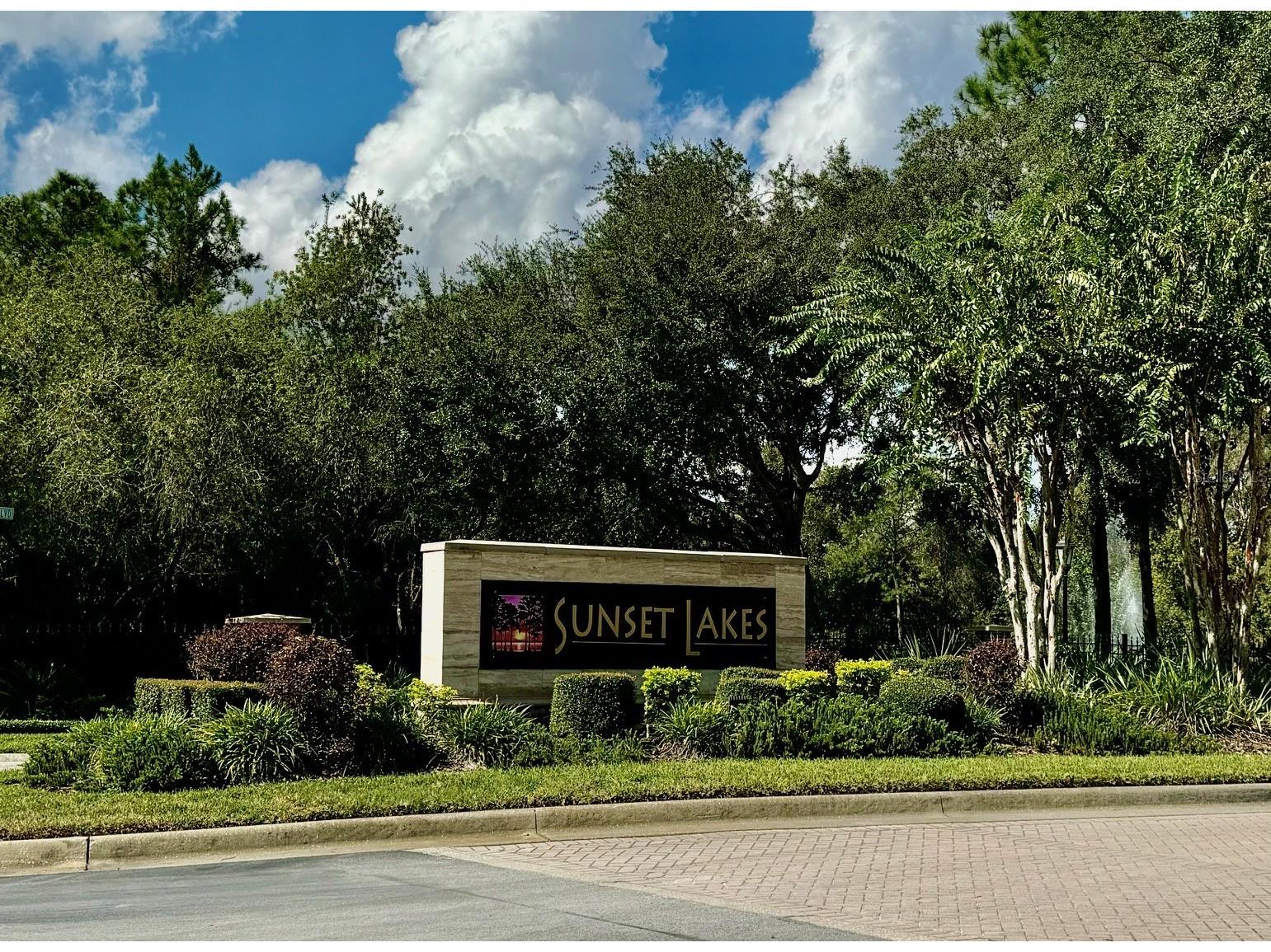 21001 Lake Vienna Drive Land O Lakes FL 34638 - BIG LAKE VIENNA TB8482676 image59