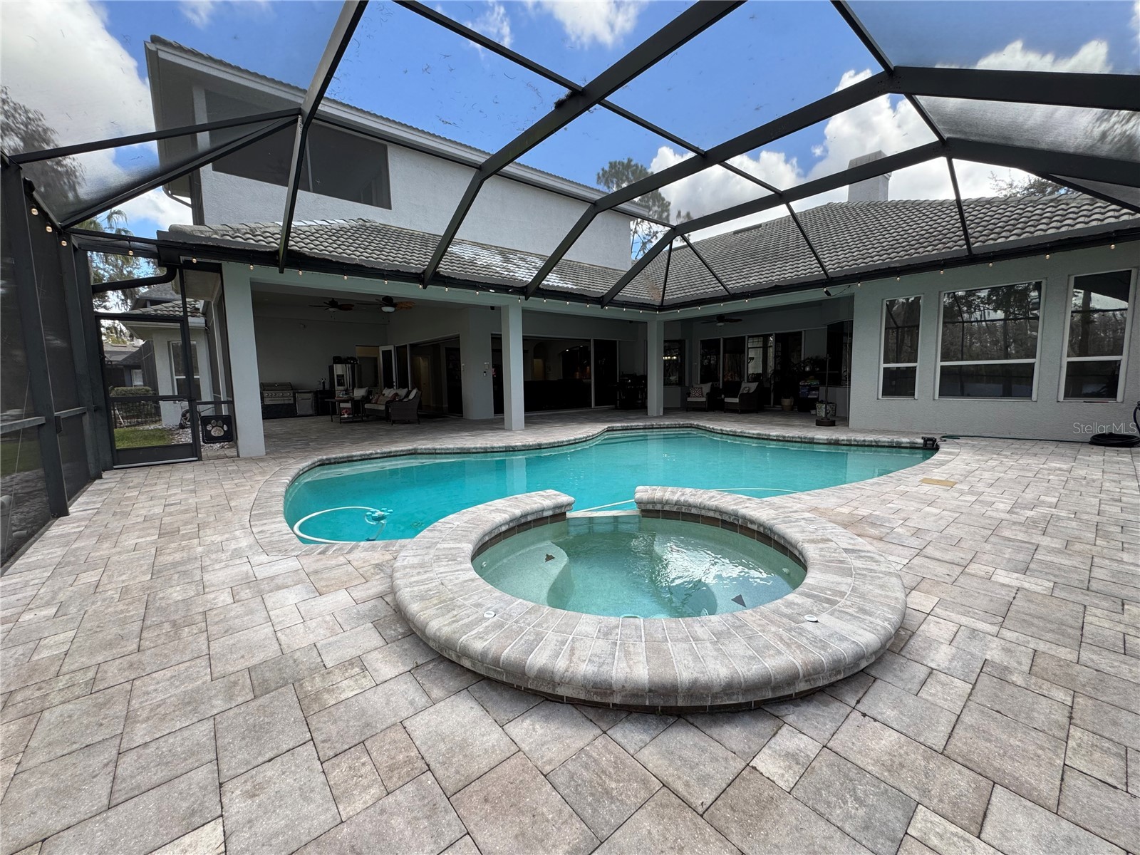 21001 Lake Vienna Drive Land O Lakes FL 34638 - BIG LAKE VIENNA TB8482676 image6