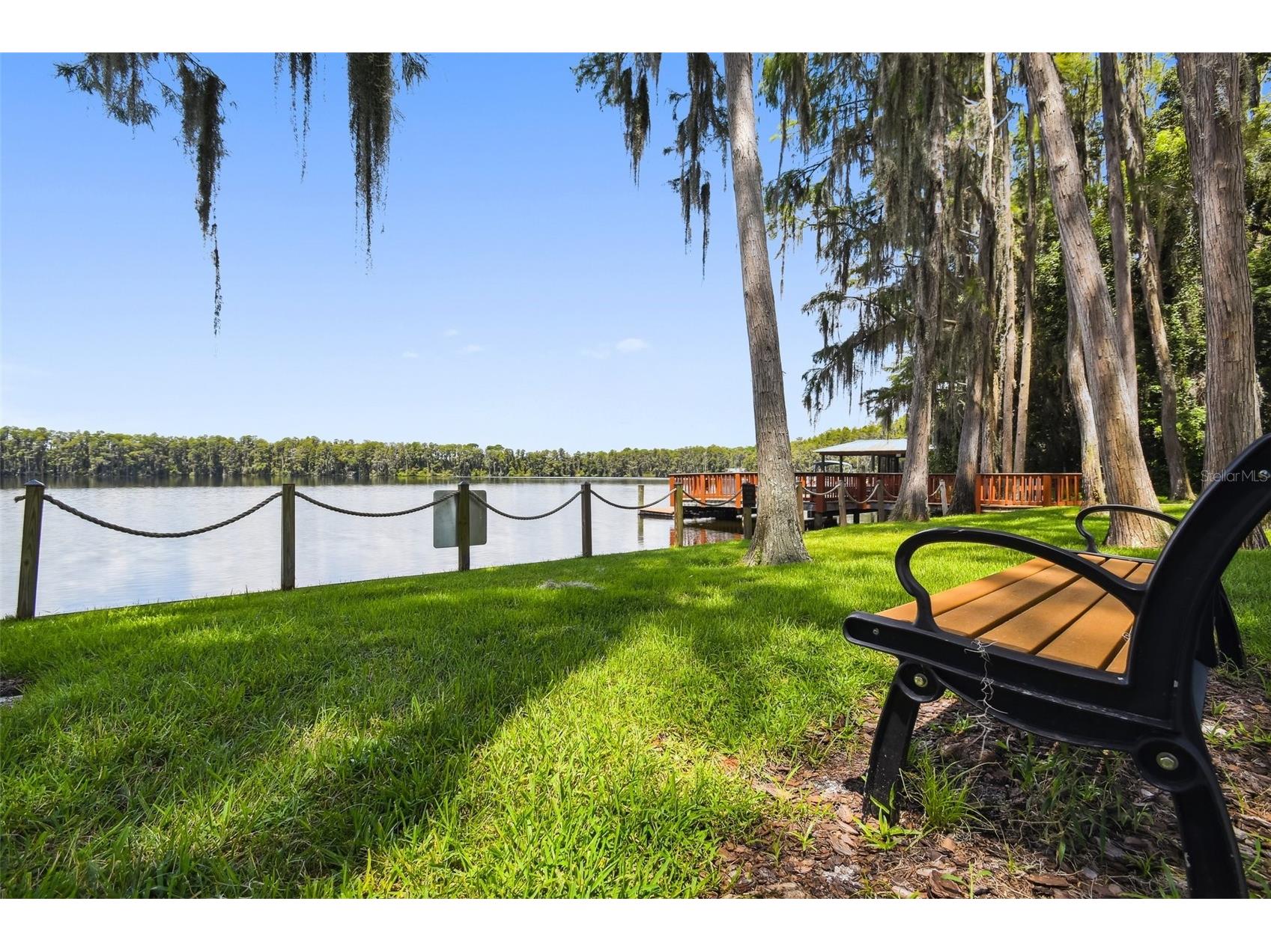 21001 Lake Vienna Drive Land O Lakes FL 34638 - BIG LAKE VIENNA TB8482676 image65